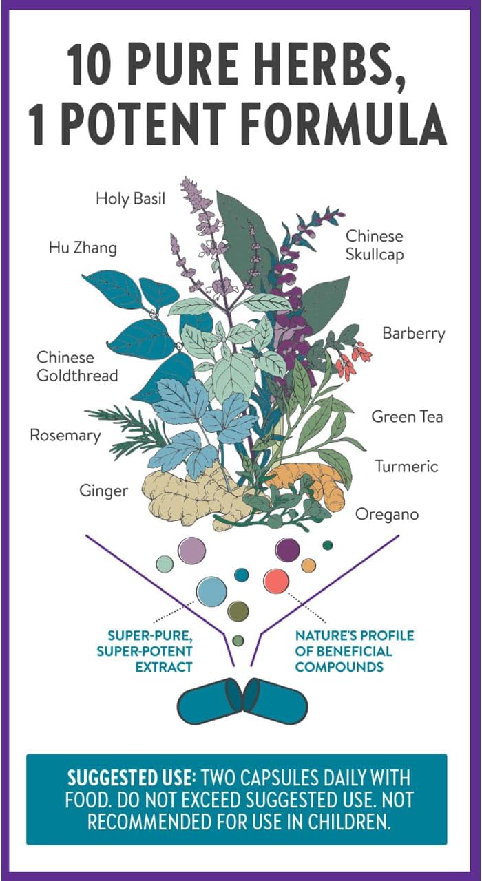 New Chapter Zyflamend™ Joint Supplement & Herbal Pain Relief – 10-in-1 Superfood Blend with Turmeric, Ginger & Green Tea - for Healthy Inflammation Response, Mobility & Flexibility, 60 Capsules - Image 7