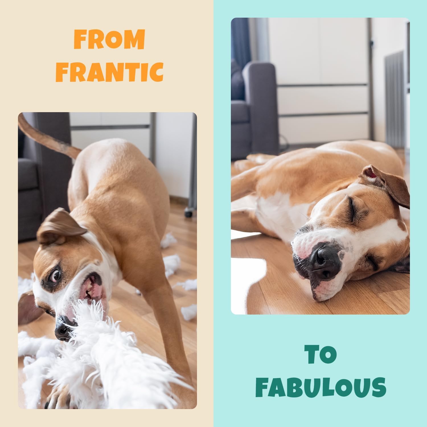 Petipet Calming Chews for Dogs - Plant-Based Calming Supplement w/Melatonin+Chamomile - Calming Aid Soft & Chewy Treats for Relaxing, Stress, Separation, Anxiety Relief, Puppies, Small & Large Breeds - Image 9