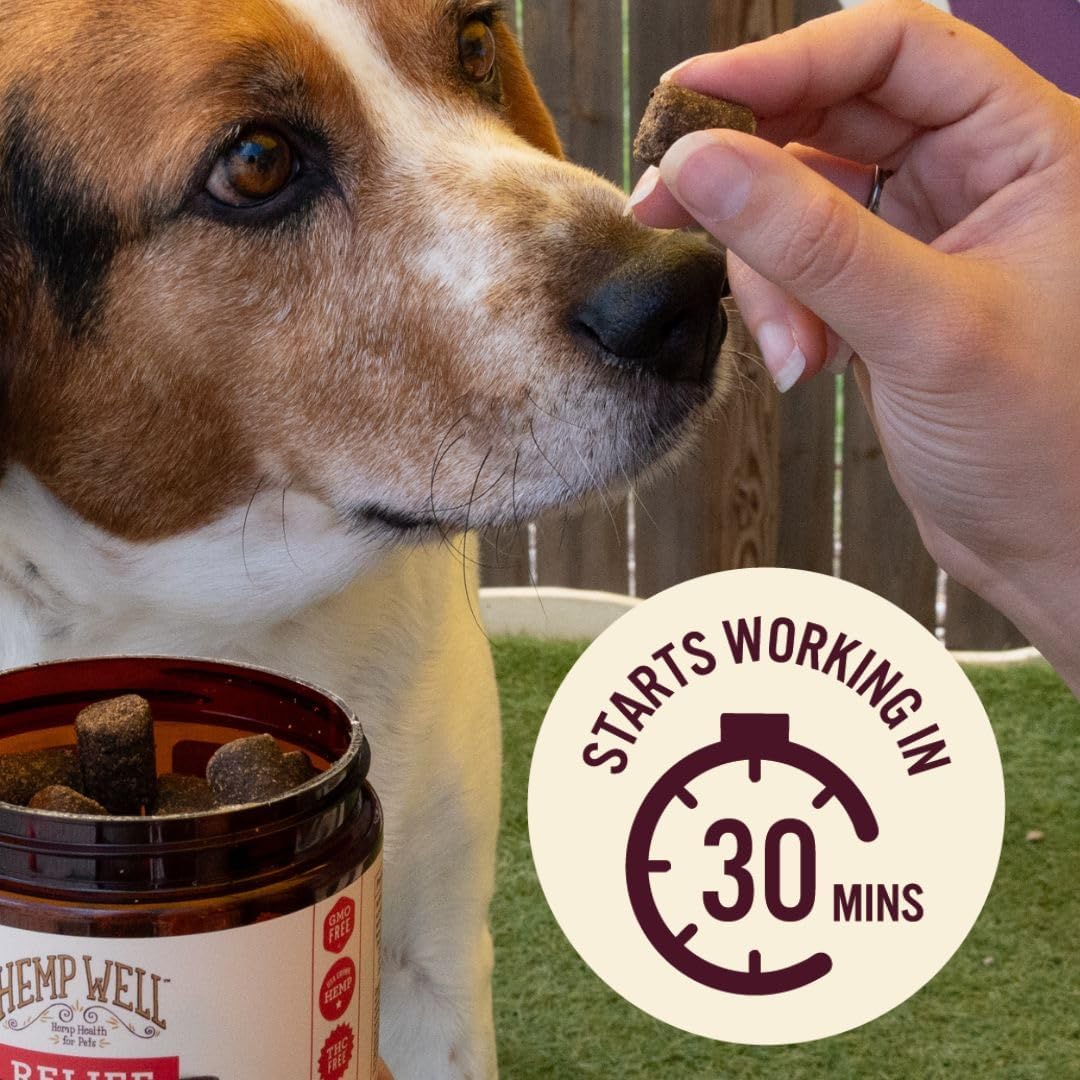 Hemp Well Relief Dog Soft Chews – Organic Hemp Soft Chews for Hip and Joint Health, Long Lasting Mobility Support (1 Pack) - Image 4