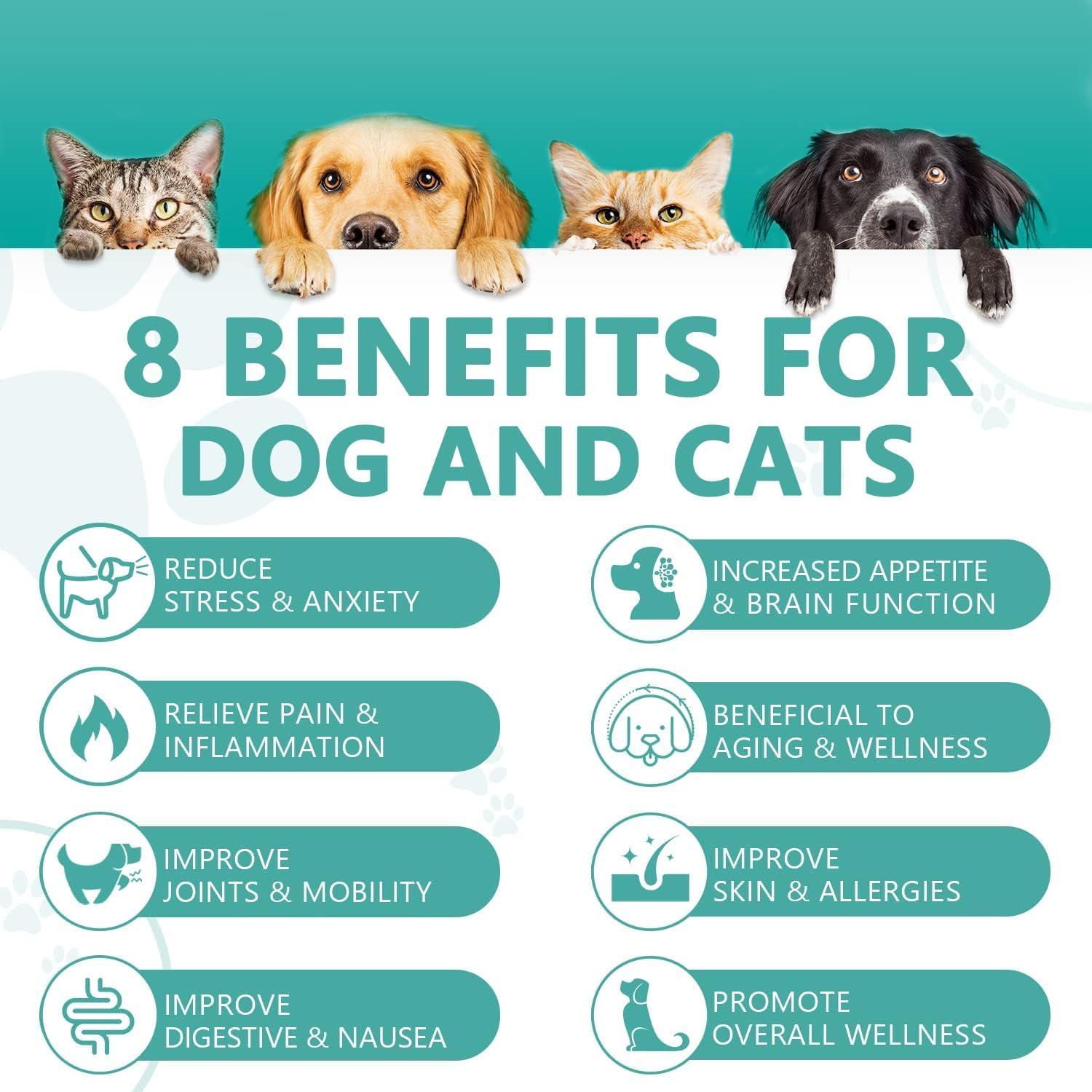 Max Potency Hemp Oil for Dogs & Cats - Help Anxiety Stress Pain Inflammation Arthritis Aggressive Relax Sleep Allergies Seizures Relief - Treats Chews Joint & Hip - Organic Pet Calming Drops - Non-GMO - Image 2