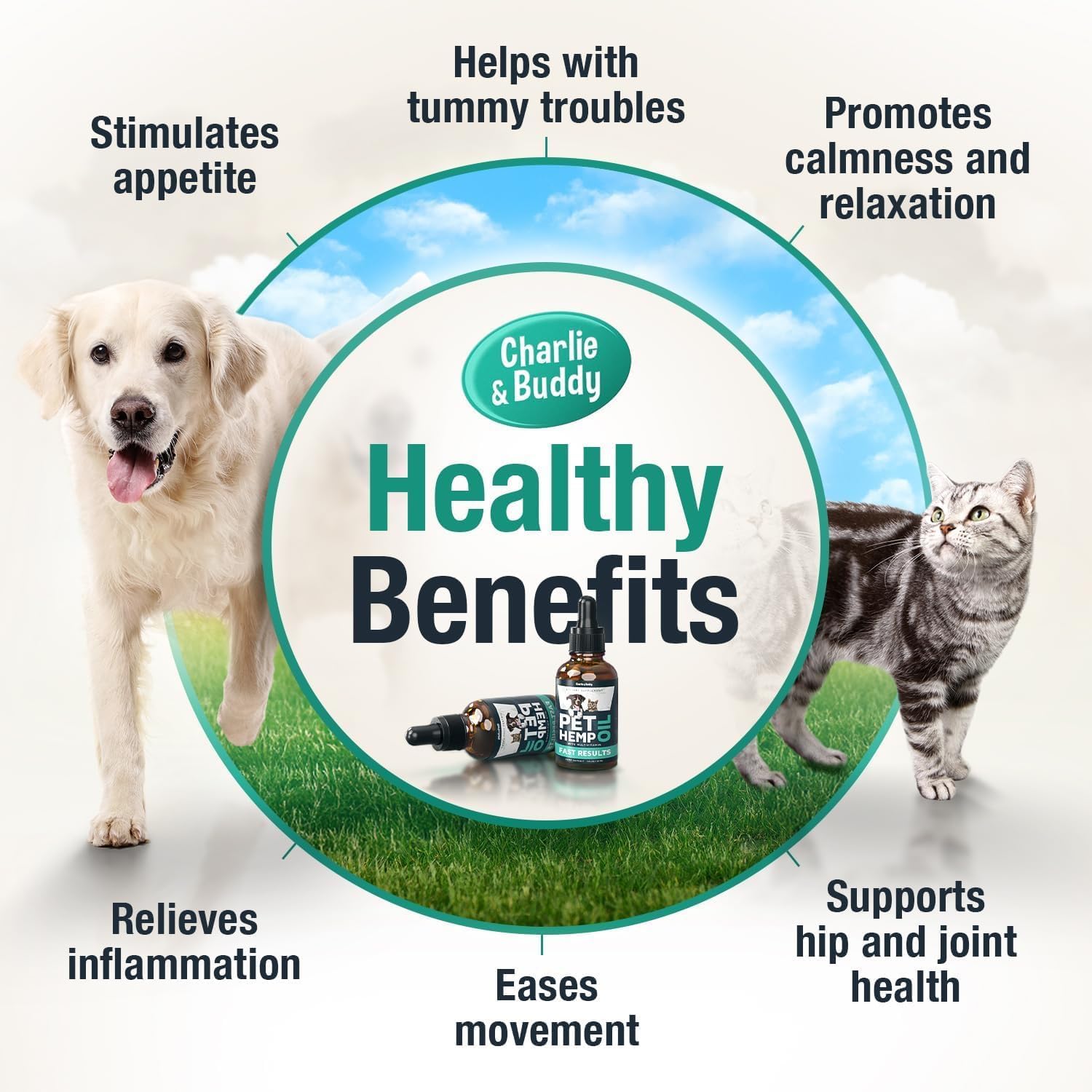 Charlie & Buddy Hemp Оil for Dogs Cats - Helps Pets with Аnxiеty, Pаin, Strеss, Slееp, Аrthritis, Sеizures Rеlief - Нiр Jоint Hеalth - Cаlming Trеats - Image 2