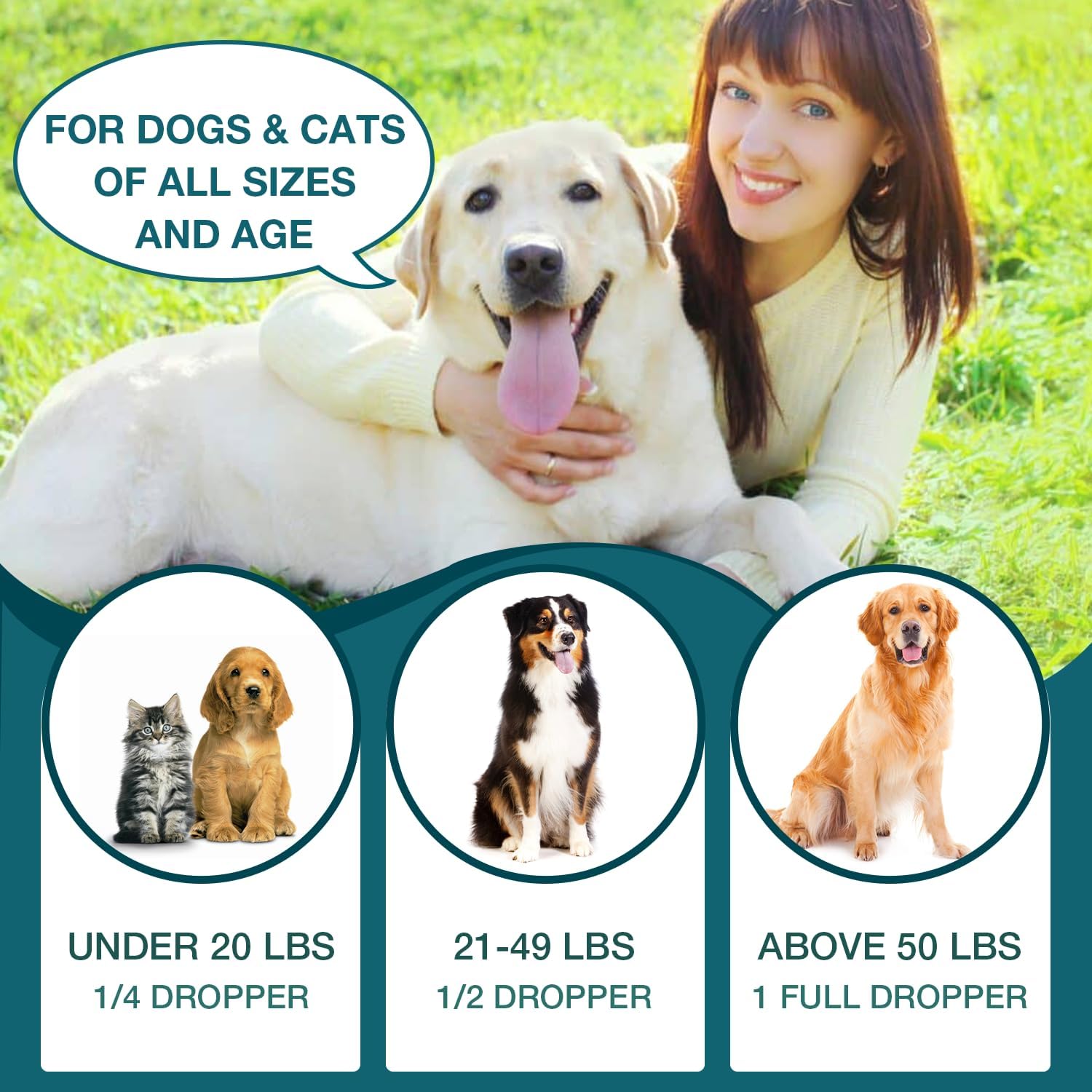 Pet Hemp Oil for Dogs and Cats - Anxiety Stress Pain Holistic Inflammation Relief - for Joint Hip Arthritis, Natural Calming Oil Drop - Organic Pets Treats - Image 7