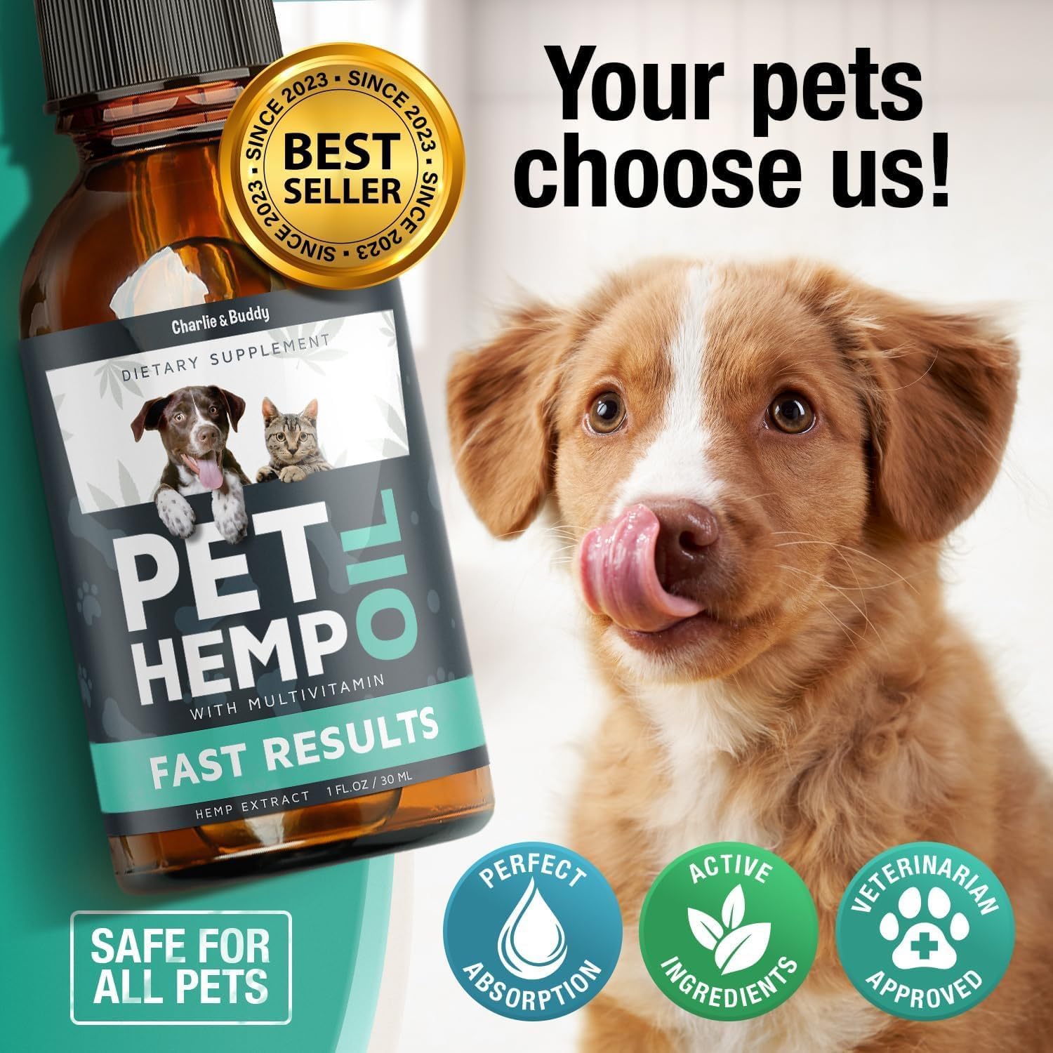 Charlie & Buddy Hemp Оil for Dogs Cats - Helps Pets with Аnxiеty, Pаin, Strеss, Slееp, Аrthritis, Sеizures Rеlief - Нiр Jоint Hеalth - Cаlming Trеats - Image 3