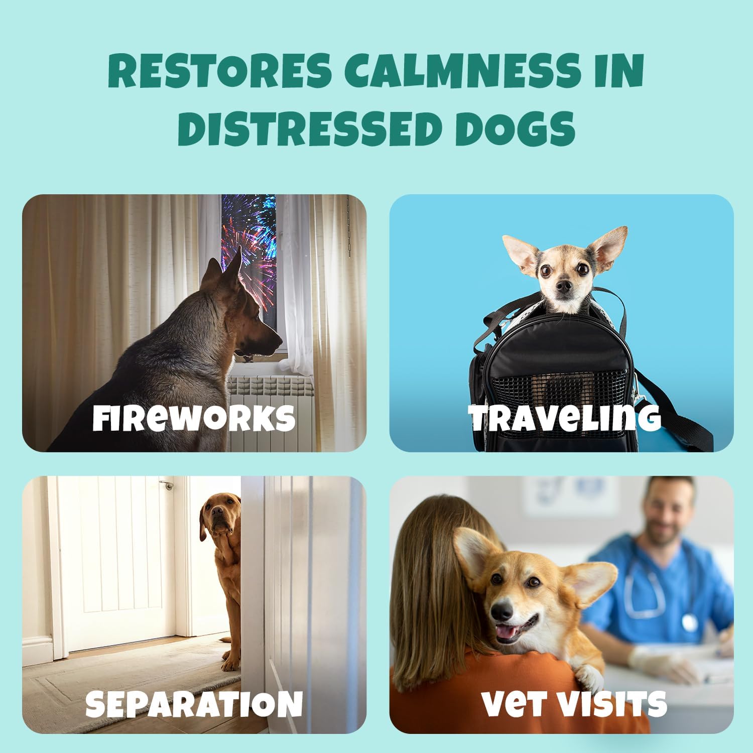 Petipet Calming Chews for Dogs - Plant-Based Calming Supplement w/Melatonin+Chamomile - Calming Aid Soft & Chewy Treats for Relaxing, Stress, Separation, Anxiety Relief, Puppies, Small & Large Breeds - Image 5