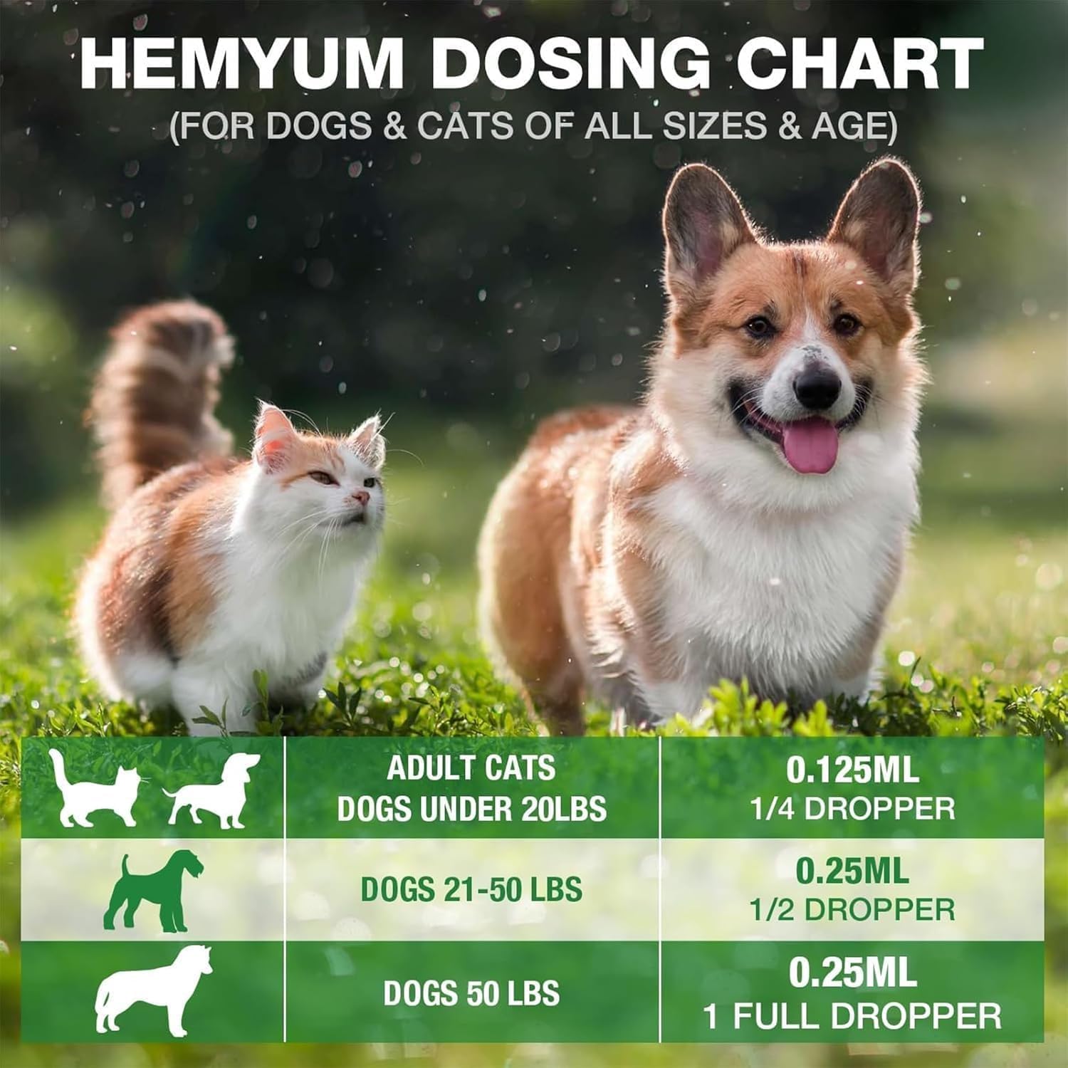 Pet Hemp Oil for Dogs and Cats Organic Hemp Extract Drops Sleep Aid Anxiety Stress Hip & Joint Pain Relief Dog Calming Treats Rich in Omega 3-6-9 Natural Pet Hemp Oil(Natural) - Image 4
