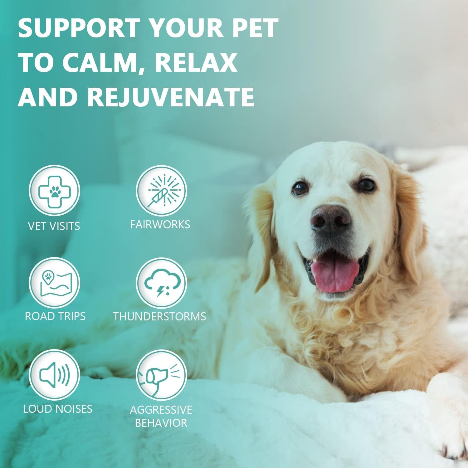 Max Potency Hemp Oil for Dogs & Cats - Help Anxiety Stress Pain Inflammation Arthritis Aggressive Relax Sleep Allergies Seizures Relief - Treats Chews Joint & Hip - Organic Pet Calming Drops - Non-GMO - Image 5