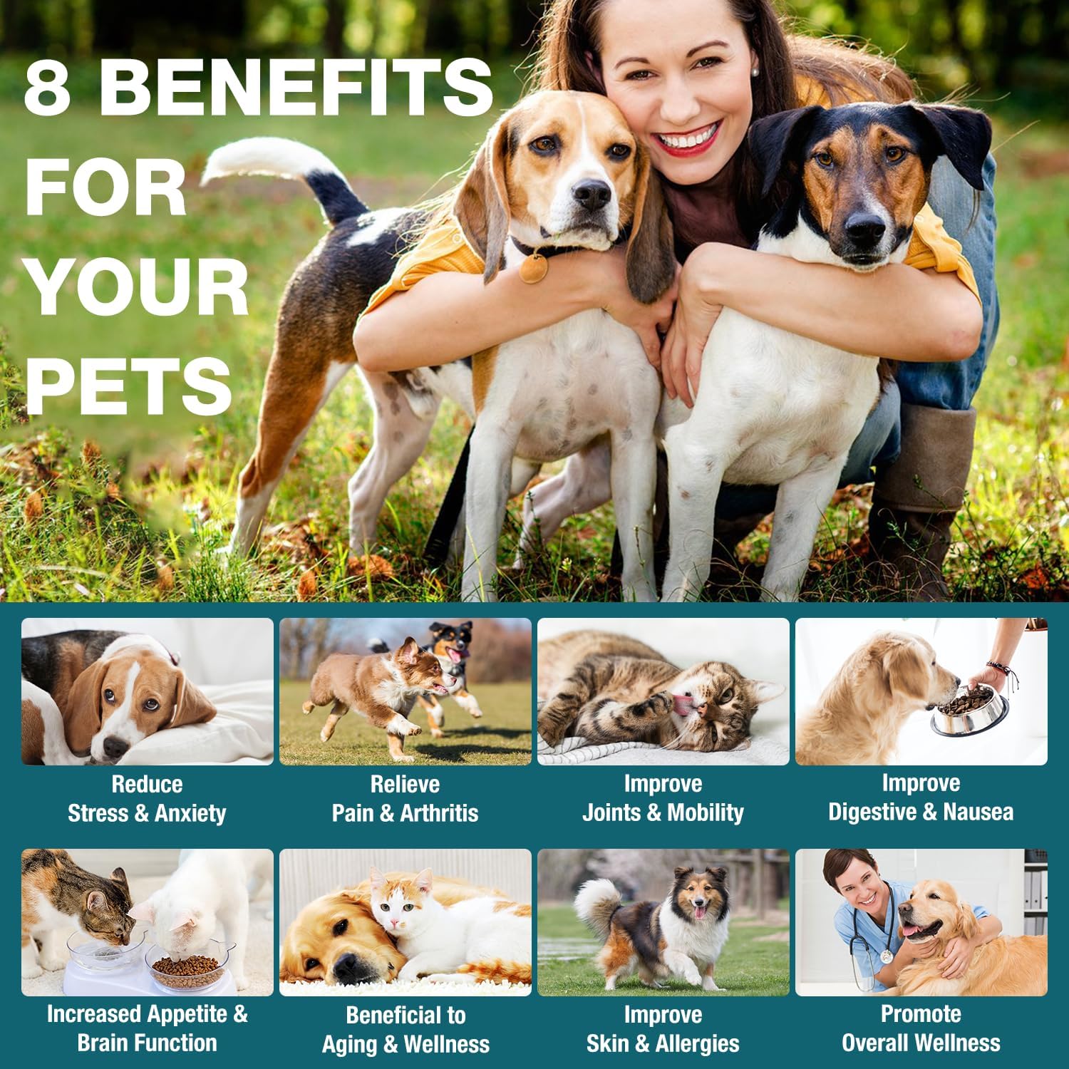 Pet Hemp Oil for Dogs and Cats - Anxiety Stress Pain Holistic Inflammation Relief - for Joint Hip Arthritis, Natural Calming Oil Drop - Organic Pets Treats - Image 2