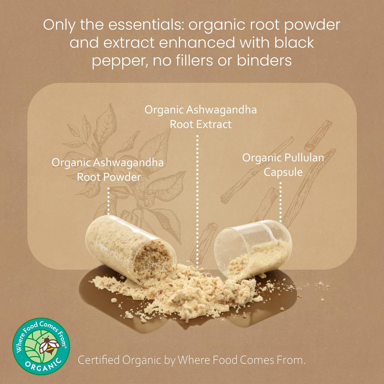 NaturaLife Labs Organic Ashwagandha 2100 mg per Serving – Herbal Supplement Root Powder & Extract – 100 Capsules – Vegan, Non-GMO, Gluten-Free - Image 3