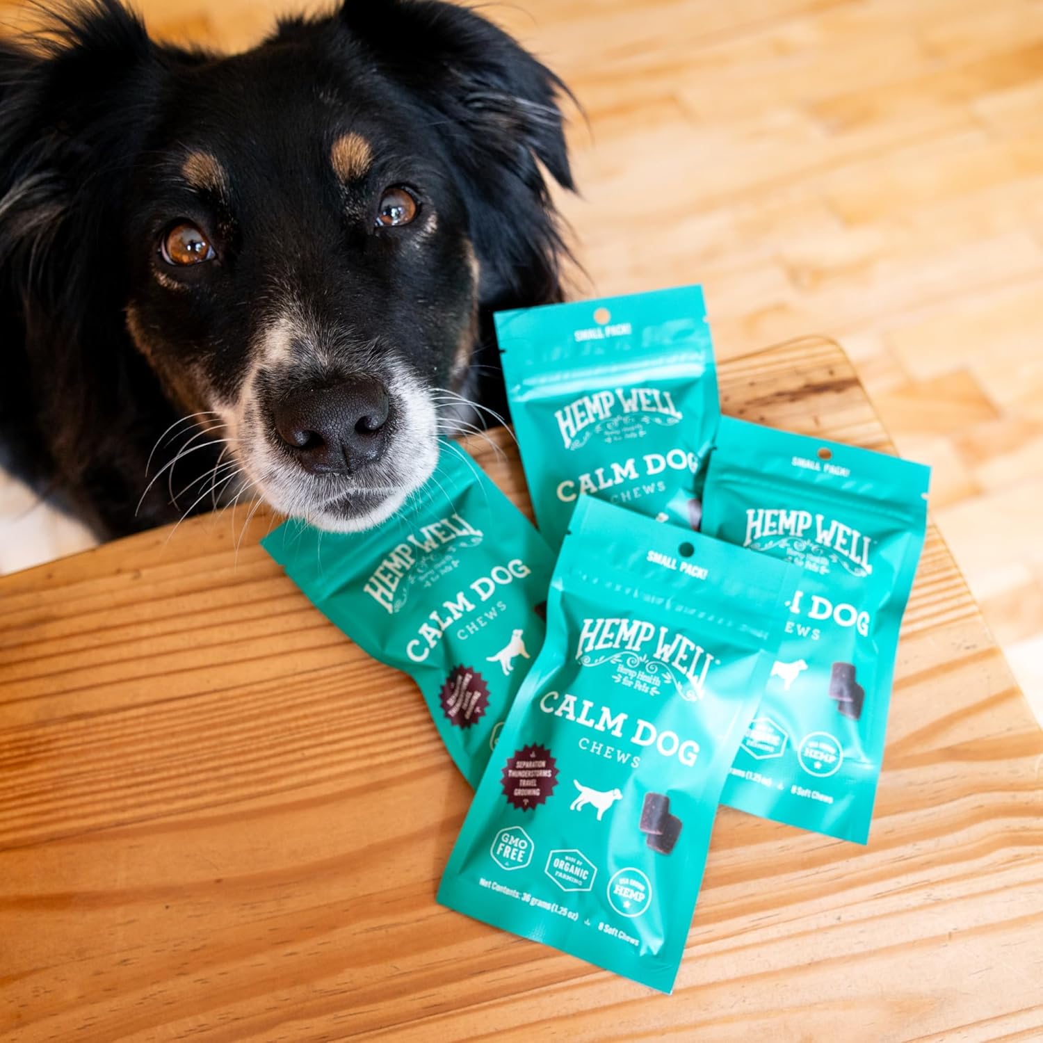 Hemp Well Calm Dog Soft Chews: Organic Hemp Infused with Melatonin - Calming Chews for Separation, Thunderstorms, and Stress - 8 Chews - Image 8