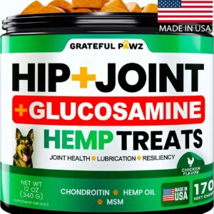 Hemp Hip and Joint Supplement for Dogs - Glucosamine for Dogs - 170 Joint Pain Relief Treats - Chondroitin, MSM, Hemp Oil - Advanced Health Supplement - Mobility Support Chews - Made in USA
