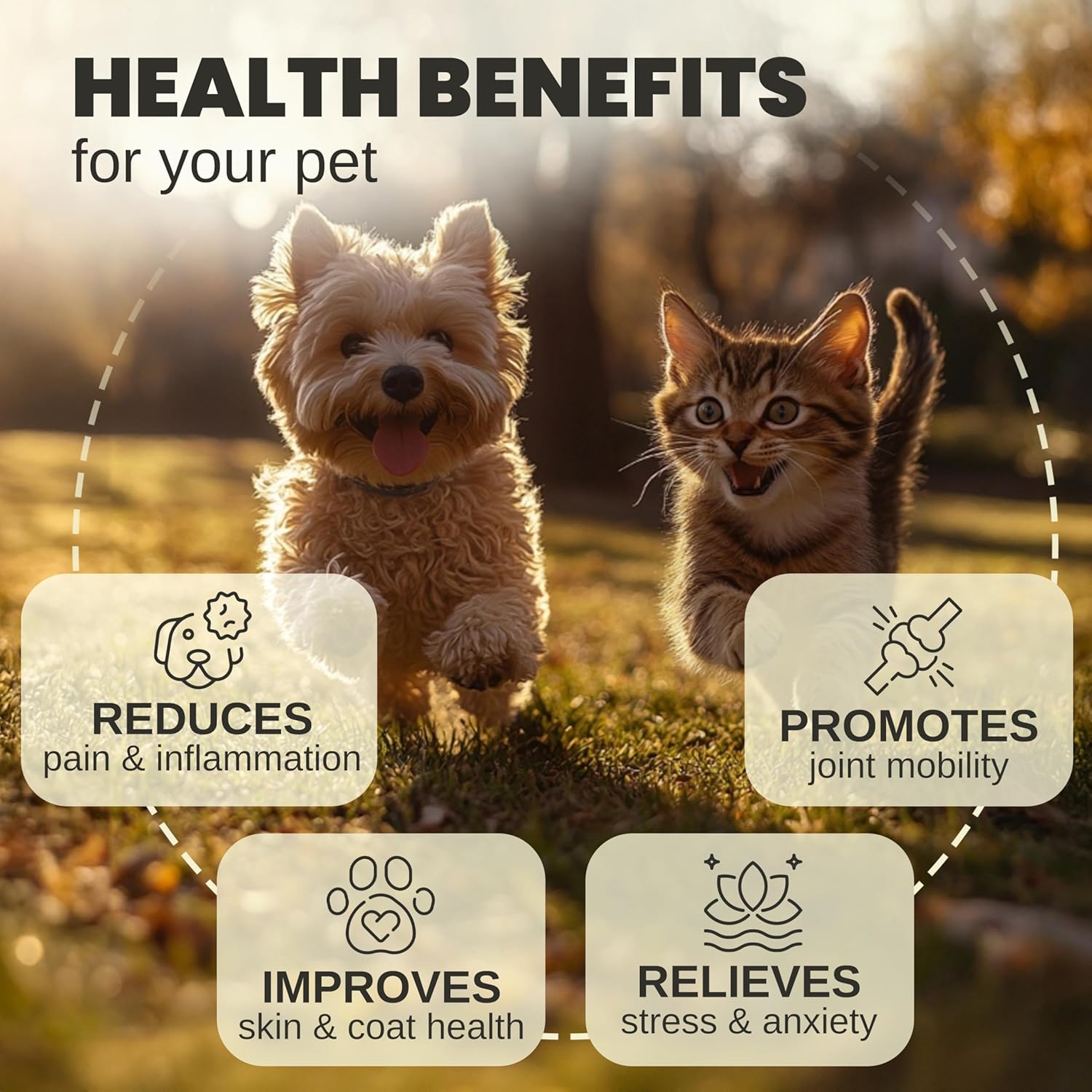 Billion Pets - Hemp Oil for Dogs and Cats - Helps with Anxiety, Pain, Stress, Sleep, Arthritis, Seizures Relief - Hip and Joint Support - Calming Drops - Image 2