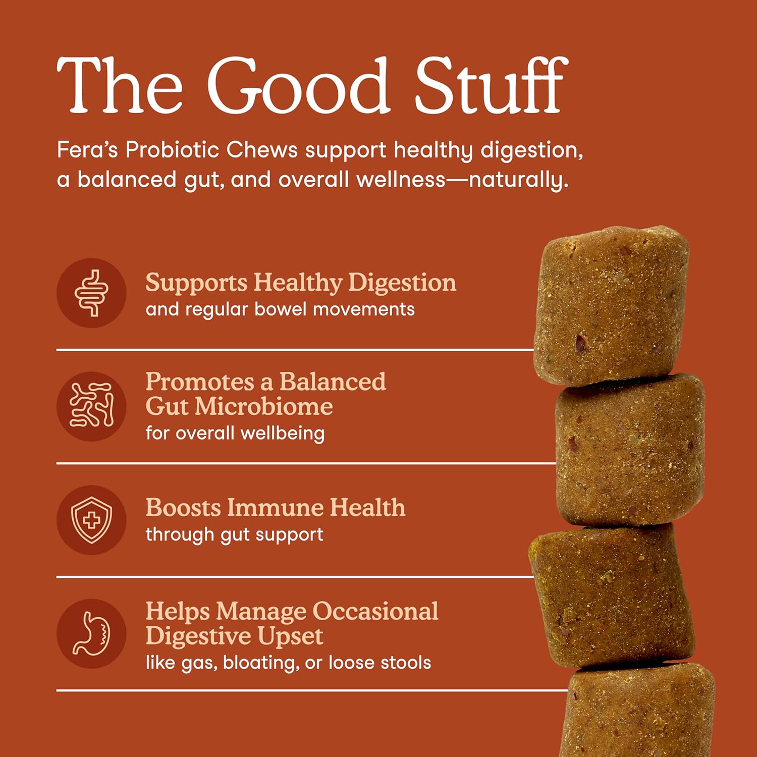 Fera Pets Probiotics for Dogs with Prebiotics and Postbiotics - Full Spectrum Gut Health Support - Promotes a Balanced Gut Microbiome - Boosts Immune Health - 90 Soft Chews - Image 2