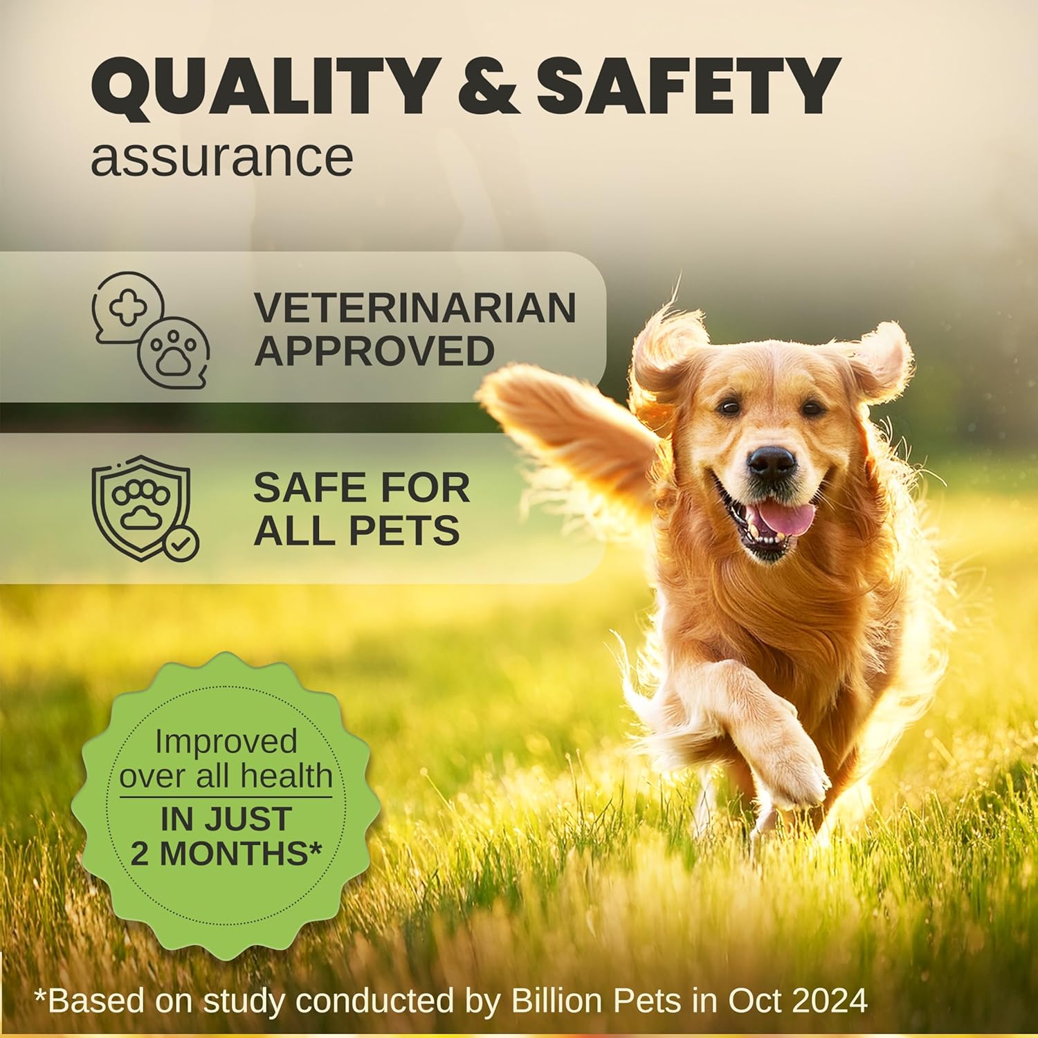 Billion Pets - Hemp Oil for Dogs and Cats - Helps with Anxiety, Pain, Stress, Sleep, Arthritis, Seizures Relief - Hip and Joint Support - Calming Drops - Image 8