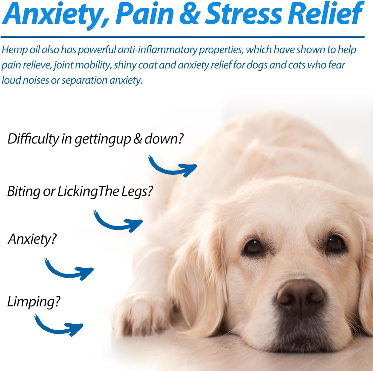 Oil for Dogs & Cats 60ML,Pet Oil for Pain,Skin,Arthritis Pain,Pain Relief,Calming,Omega 3,6,9 for Dog Emotions,Barking & Dog Joints,Supports & Maintains Healthy Joints (1 Pack, Blue) - Image 3