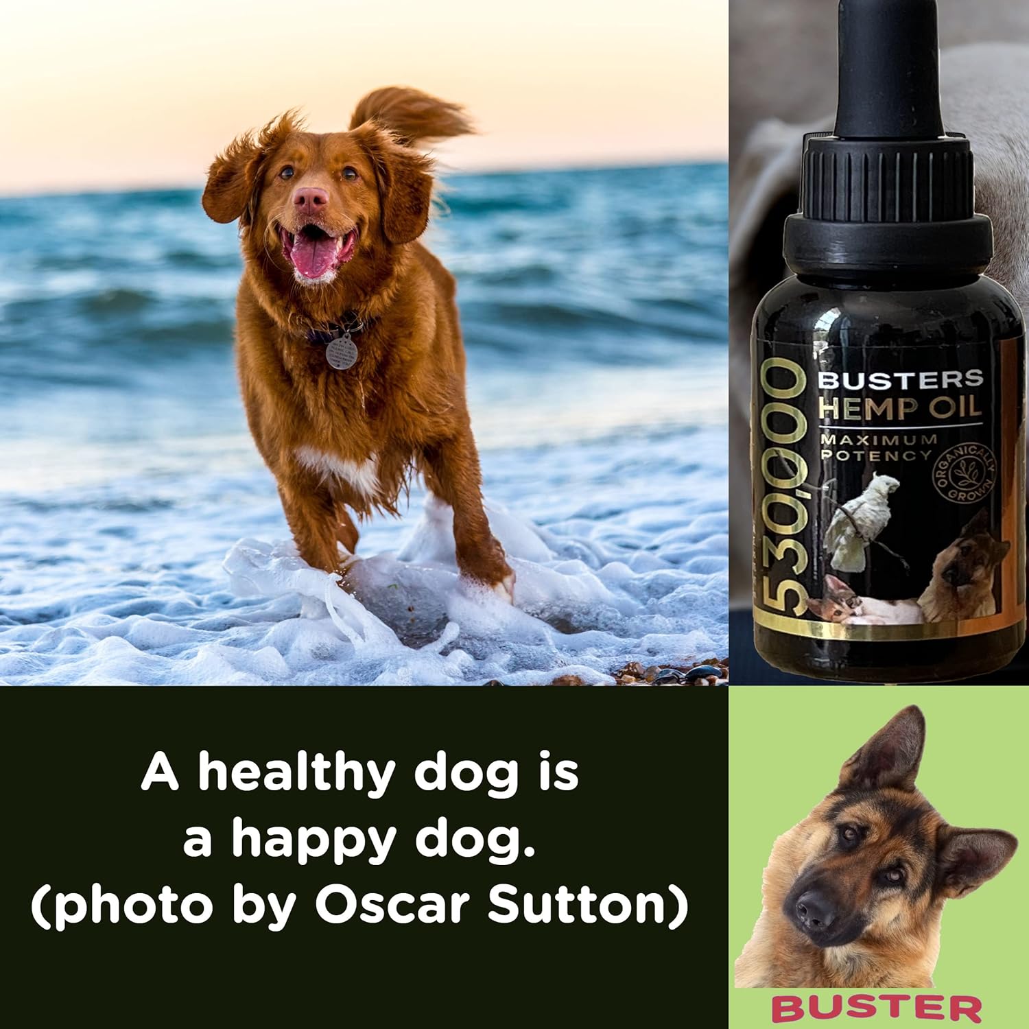 Buster's Organic Hemp Oil for Dogs and Pets, Made in USA - Miracle Formula, Perfectly Balanced Omega 3, 6, 9 - Joint Relief, Calming - Image 4