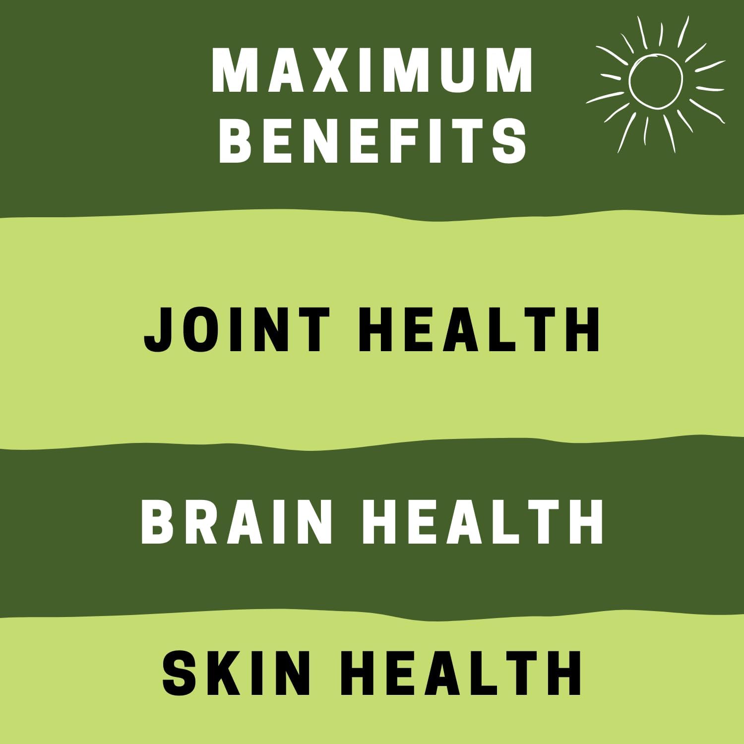 Vegan Fish Oil Alternative - Award Winning Omega 3, DHA, EPA and GLA Supplement - Plant Based Omegas - 4X Better Than Flax, Chia & Hemp - Contains GLA not Found in Algae - 90 Vegan softgels - Image 3