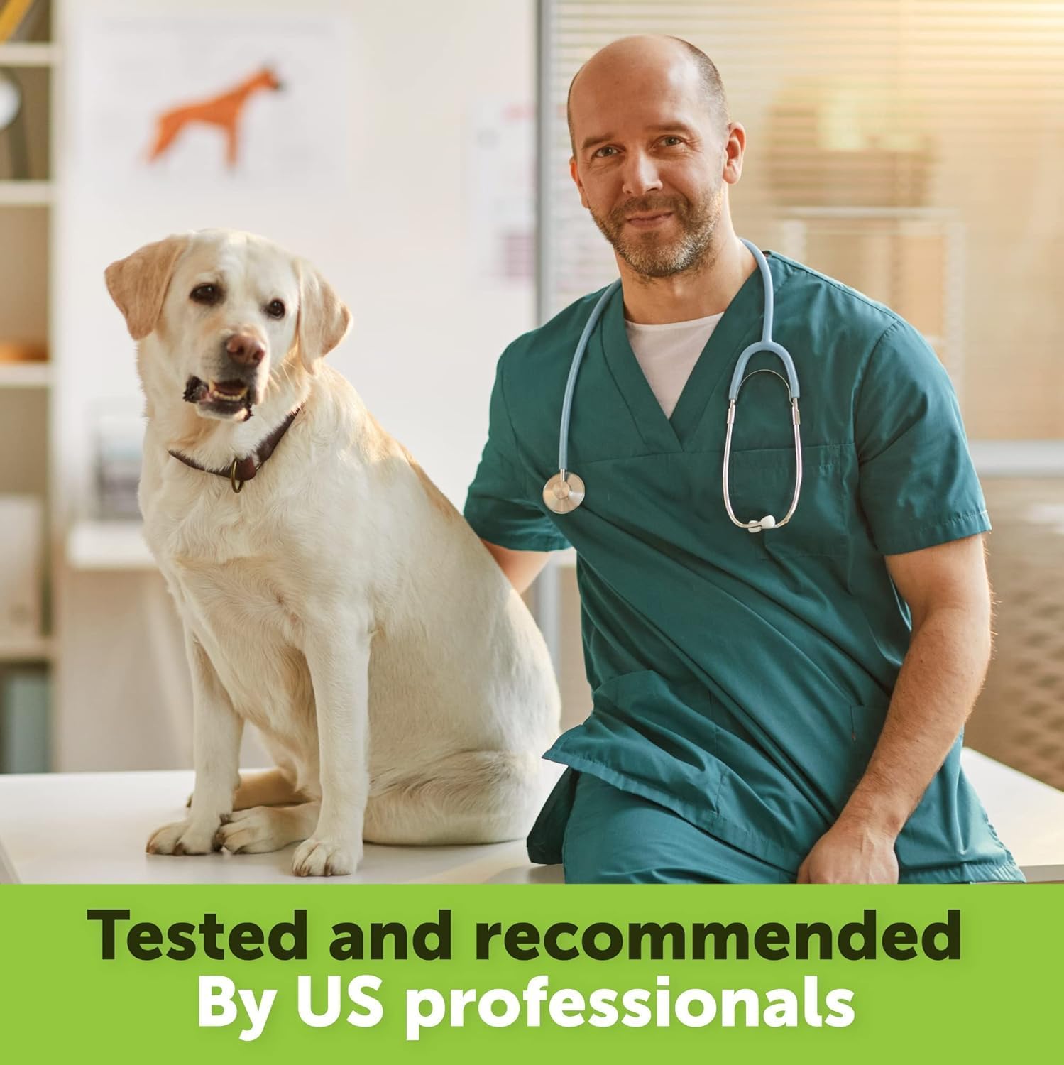 Hemp Oil for Dogs and Cats - Organic Hemp Oil Drops for Anxiety Relief, Stress,Pain, Calming, Sleep, Arthritis - Hip and Joint Support - Skin Health, Anti-Inflammatory - Omega 3-6-9 Pet Drops (2 Pack) - Image 6