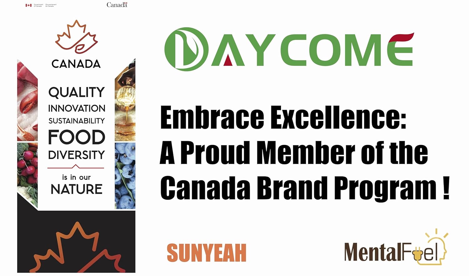 SUNYEAH Cold Pressed Hemp Seed Oil, 500 ml, Canadian, High in Omega 3 & 6, Keto Friendly - Image 4