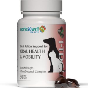 1TDC WorksSoWell Dual Action Hip and Joint Supplement for Dogs & Cats - for Large & Small Breed - Great for Oral Health, Stamina Recovery & Arthritis Pain Relief -30 ct