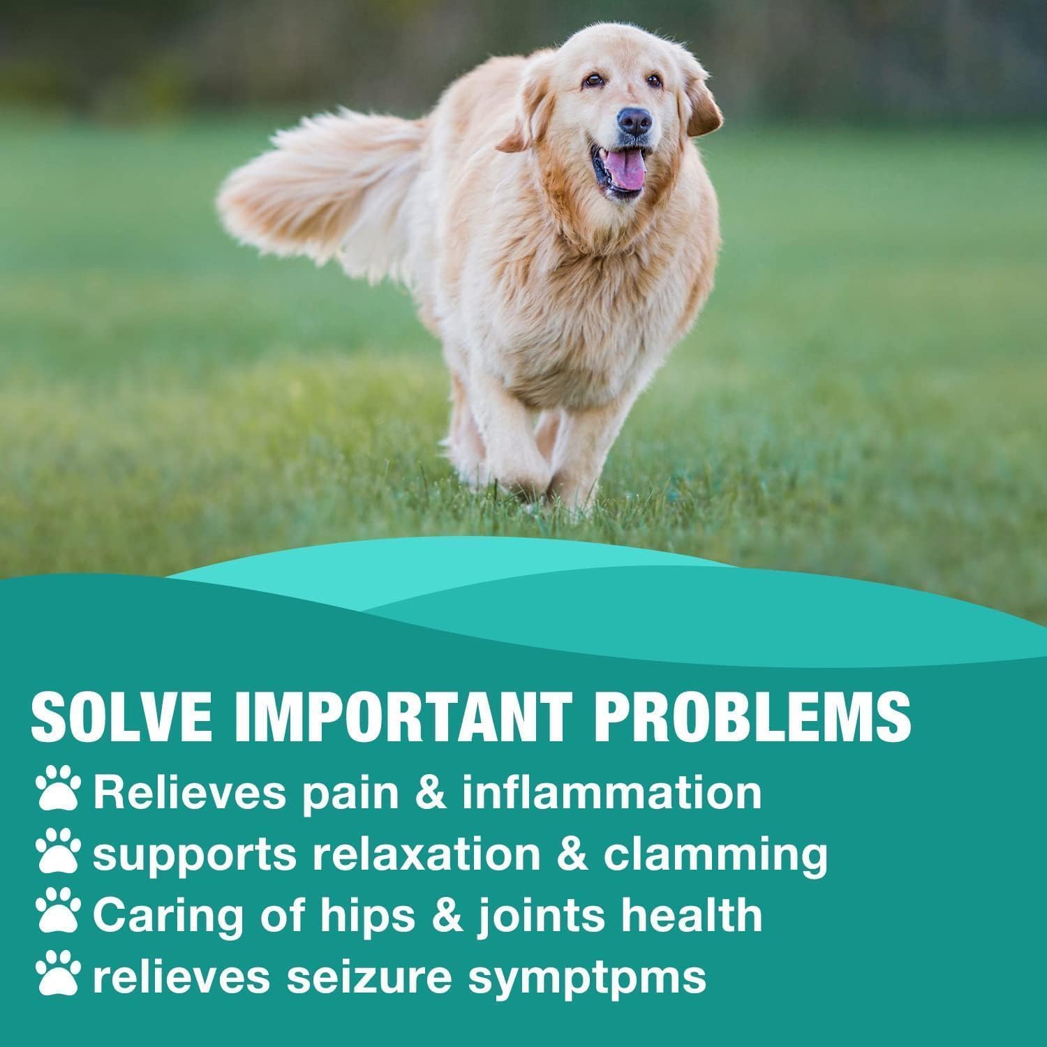 2 Pack Неmр Oil for Dogs & Cats- Helps Pets with Аnxiety, Pаin, Strеss, Аrthritis, Sеizures Rеlief - Organic Pet Неmр Oil Drops Treats - Skin Нiр Jоint Hеalth - Image 5