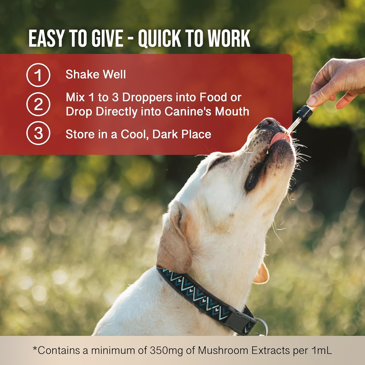 MycoDog Vitality - Mushroom & Adaptogen Supplement for Dogs - Immune Health, Senior Dog, & Daily Wellness Support - Turkey Tail Mushroom for Dogs, Reishi, Chaga - Image 6