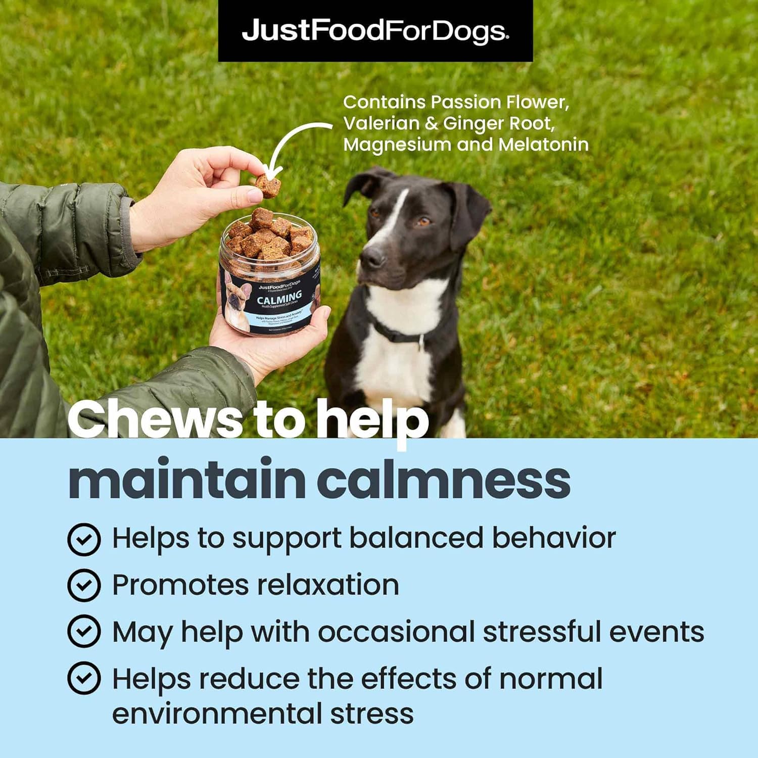 Just Food for Dogs Hip and Joint Supplement for Dogs, Human Grade Glucosamine Chondroitin Dog Supplements, Multivitamin Soft Chews, Omega 3 Oil, Superfood Blend, Plant Based Dog Vitamins - 45 Count 3 - Image 2