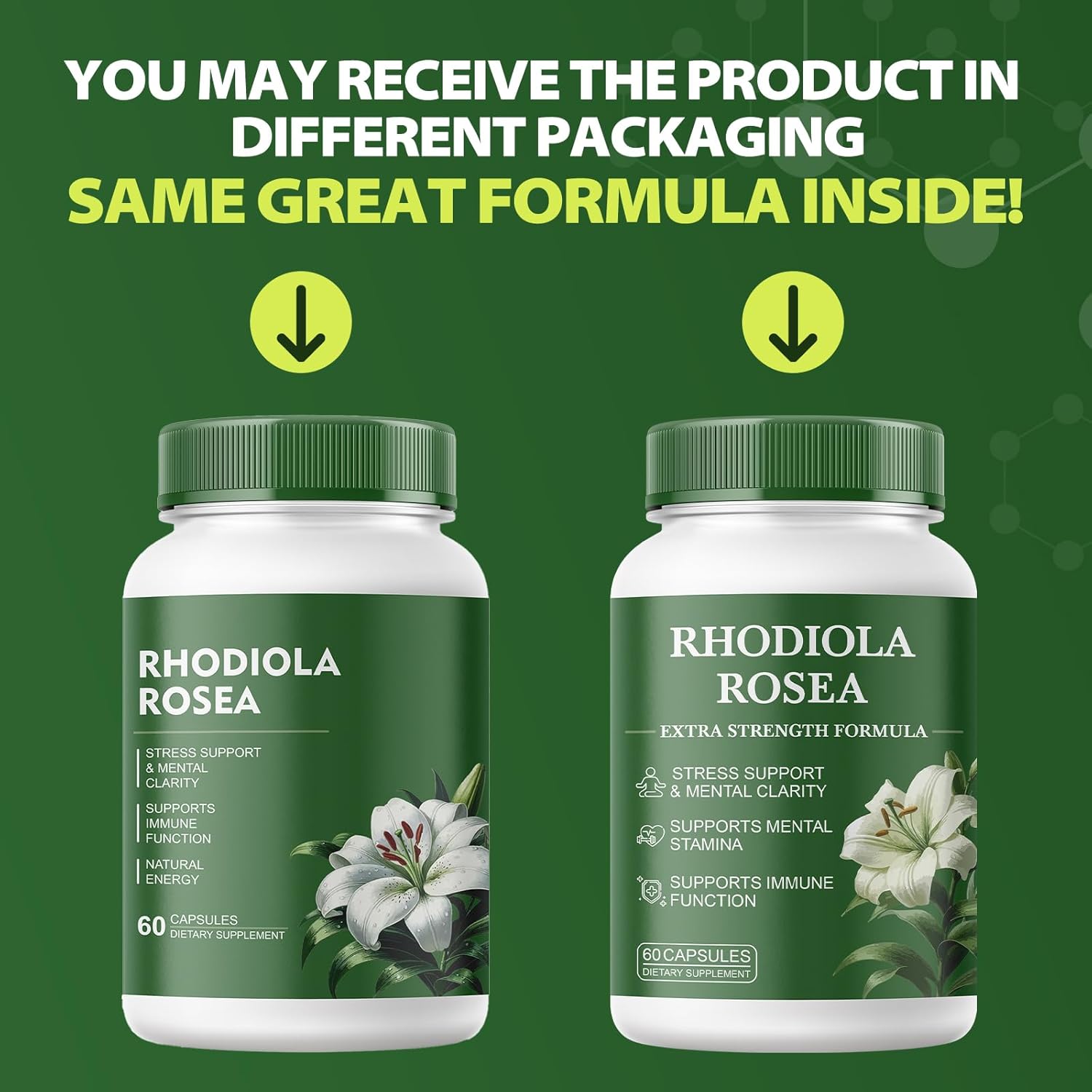 Rhodiola Rosea Supplement – Rhodiola Rosea Extract, Botanical Adaptogen Supplement for Brain, Energy & Daily Stress Support, Gluten-Free, Non-GMO, Vegetarian – 60 Capsules - Image 8