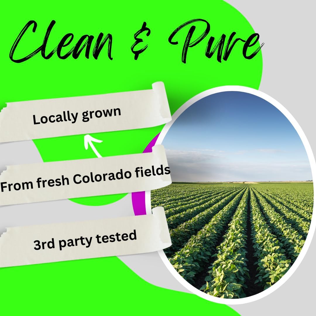 Potent Hemp Gummies | 60 Count | Pure Clean Colorado Hemp | Calm Gummies for Worriedness & Sleep - Image 2