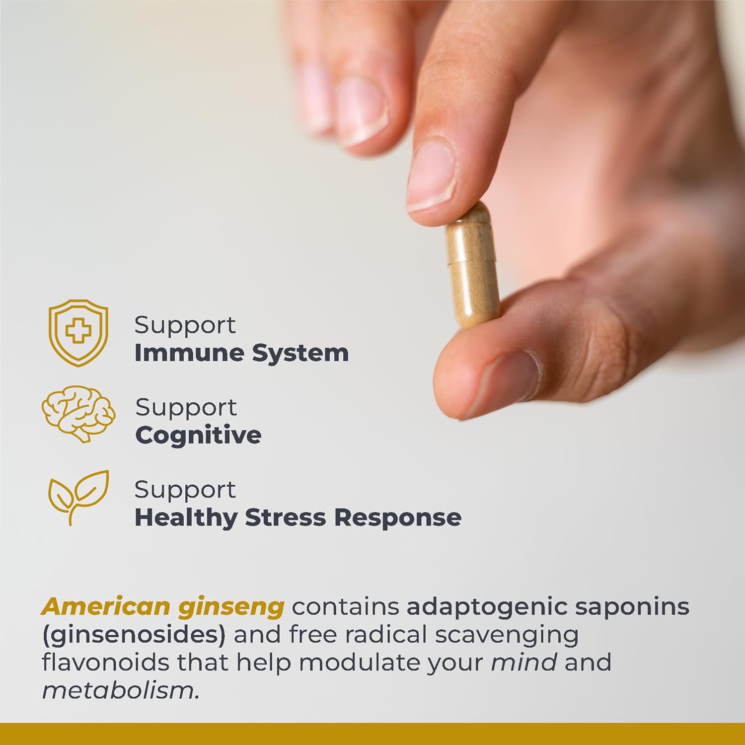 Premier Research Labs American Ginseng Supplement - American Ginseng Capsules, Herbal Ginseng Root Pills, North American Ginseng Herb Extract, Calming Energy Supplement - 60 Plant-Based Capsules - Image 4