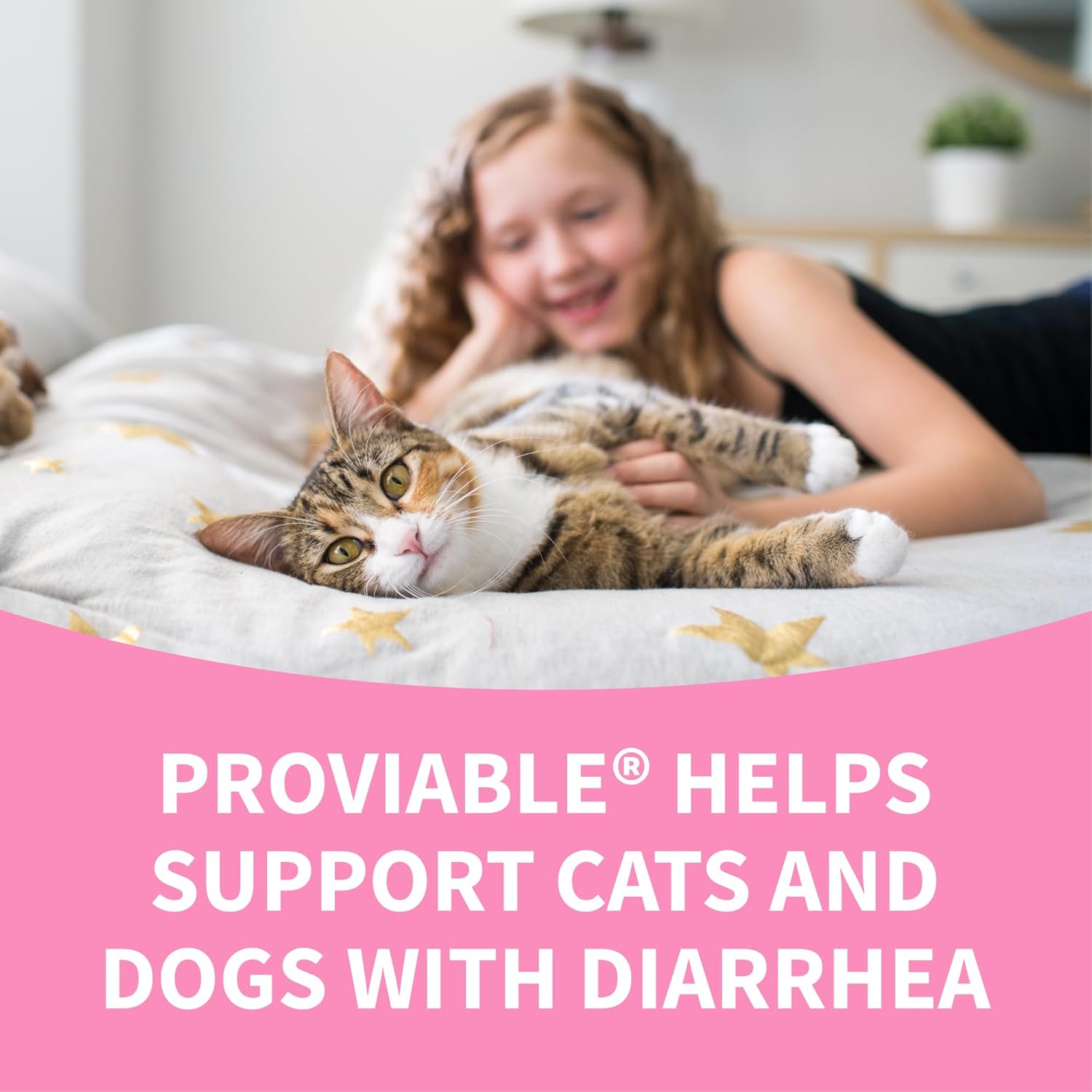 Nutramax Proviable Probiotics for Dogs and Cats, Daily Digestive Health Supplement with Multiple Strains of Bacteria, Cat and Dog Probiotics Plus Prebiotics, 80 Capsules - Image 8