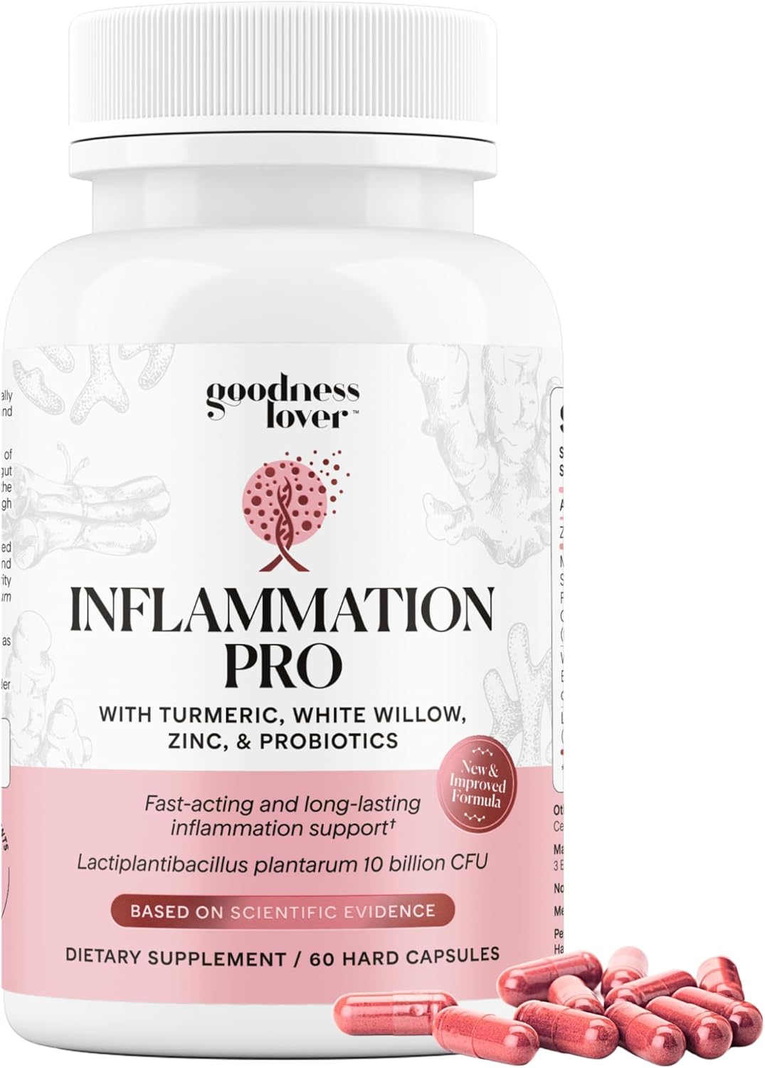 Goodness Lover Inflammation Pro, with 10 Billion CFU for Digestive Support, Curcumin, White Willow bark Extract, Zero fillers, Vegan, 30 Servings