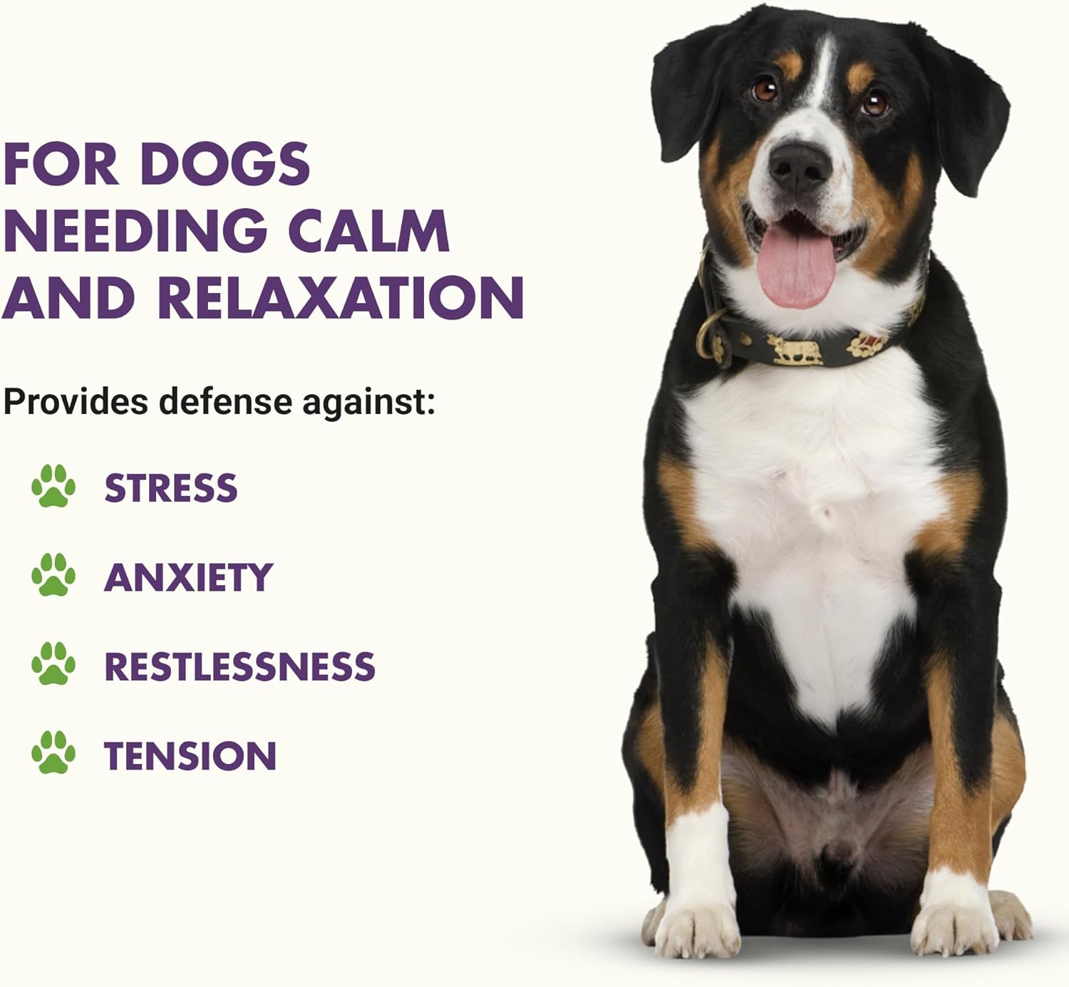 LIQUID-VET Premium Calming Dog Supplements - All Dog Essentials with Chamomile for Skin & Coat Support - Ideal for Large Breeds, Puppies, and Overall Wellness - Image 2