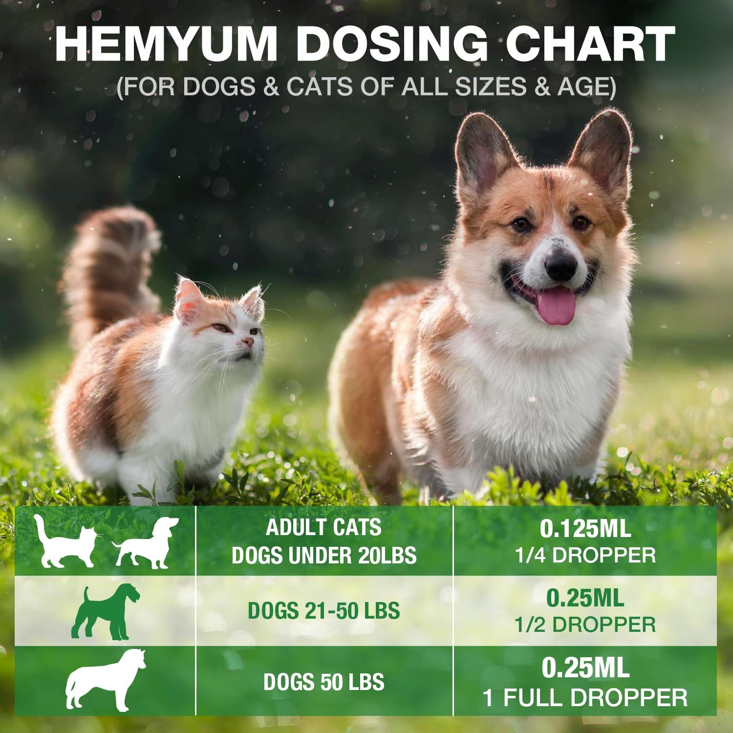 Pet Hemp Oil for Dogs and Cats,Organic Hemp Extract Drops, Sleep Aid Anxiety,Stress, Hip & Joint Pain Relief, Dog Calming Treats Rich in Omega 3-6-9, Natural Pet Hemp Oil(Natural) - Image 4