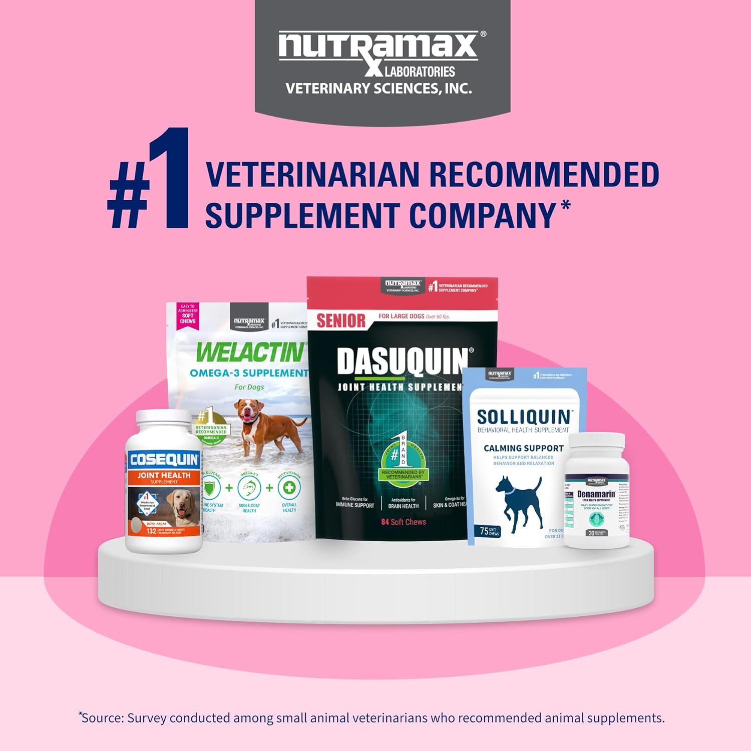 Nutramax Proviable Probiotics for Dogs and Cats, Daily Digestive Health Supplement with Multiple Strains of Bacteria, Cat and Dog Probiotics Plus Prebiotics, 80 Capsules - Image 11