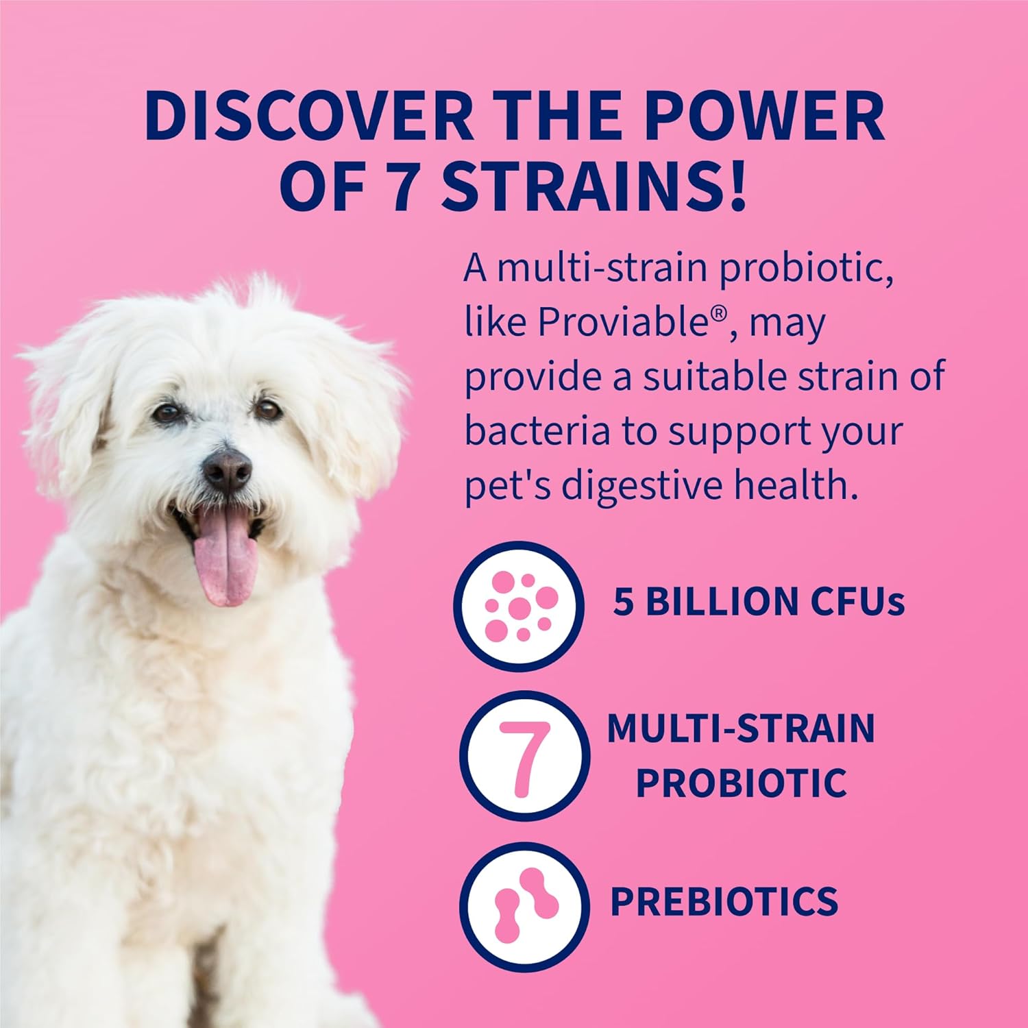 Nutramax Proviable Probiotics for Dogs and Cats, Daily Digestive Health Supplement with Multiple Strains of Bacteria, Cat and Dog Probiotics Plus Prebiotics, 80 Capsules - Image 4