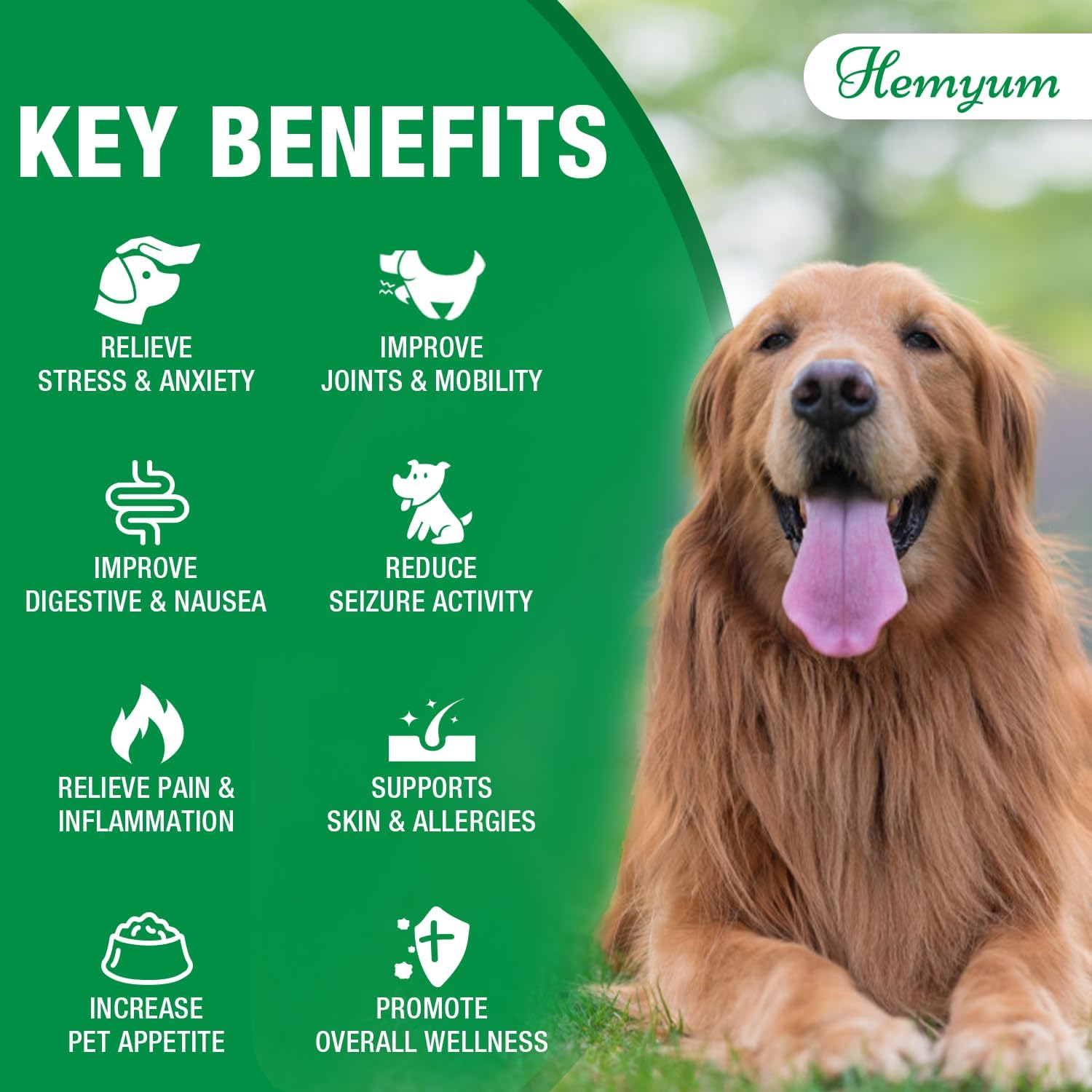 Pet Hemp Oil for Dogs and Cats,Organic Hemp Extract Drops, Sleep Aid Anxiety,Stress, Hip & Joint Pain Relief, Dog Calming Treats Rich in Omega 3-6-9, Natural Pet Hemp Oil(Natural)