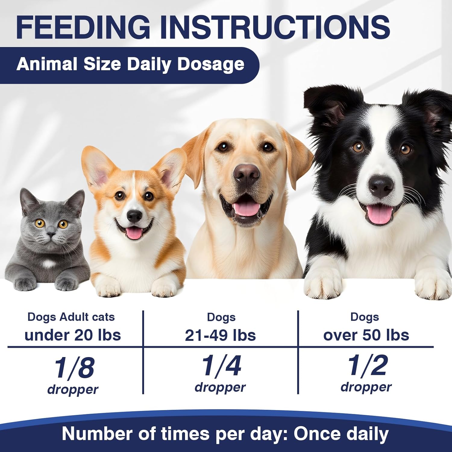 Hemp Oil for Dogs and Cats 3 Pack - Natural Calming Drops for Anxiety Stress Relief Relieves Pain Skin Irritation Joint Inflammation Promotes Relaxation Sleep Rich in Omega 3 6 9 for Skin Coat Health - Image 6