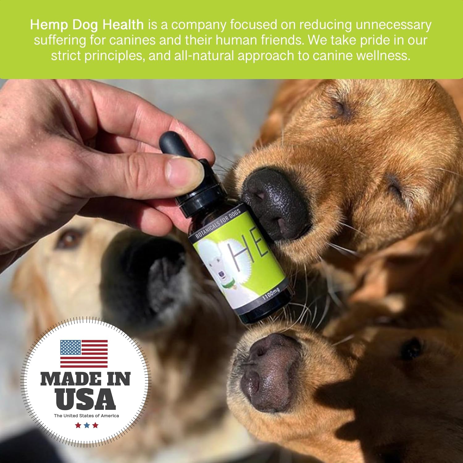 HEAL - Pet Hemp Oil for Dogs - Immune System & Senior Dog Support - Neurological & Adrenal Balance - Daily Wellness Drops - Image 5