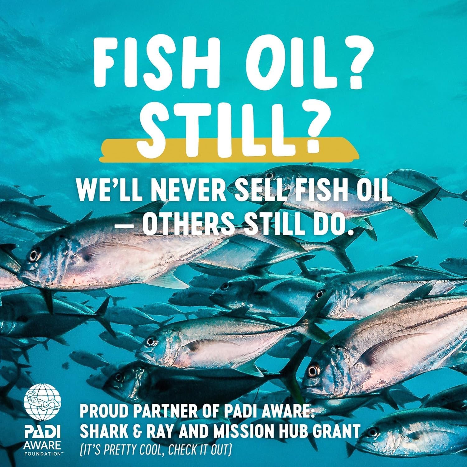 Freshfield Vegan Omega 3, Algae (Algal) Oil, Fish Oil Free Company, Third Party Tested, Carrageenan Free, DHA Supplement w/DPA, Plant Based Omega. Supports Heart, Brain, Joint Health - Image 2