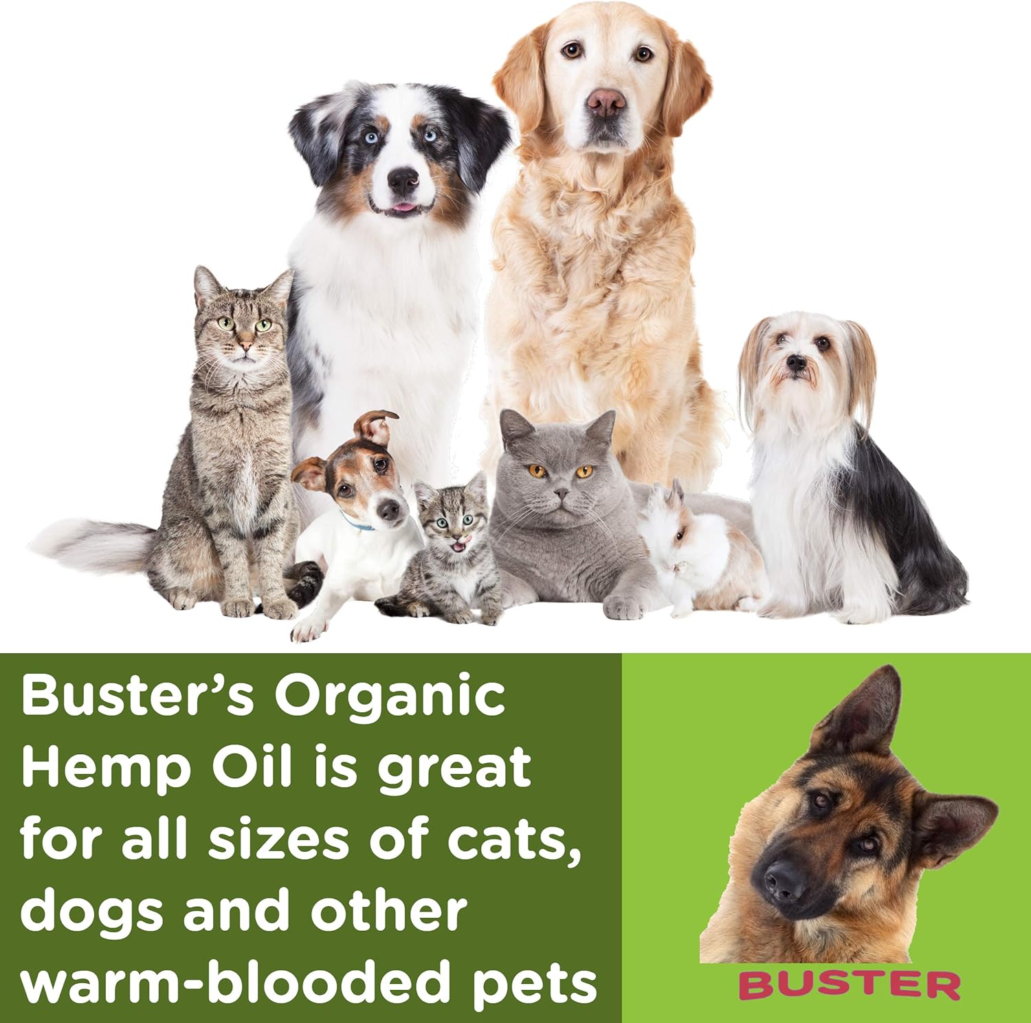 Busters Organic Hemp Oil 530,000 2pack 2month Supply for Dogs and Cats Made in USA Omega Rich 3 6 and 9 Hip & Joint Health Natural Soothing Relief - Image 2