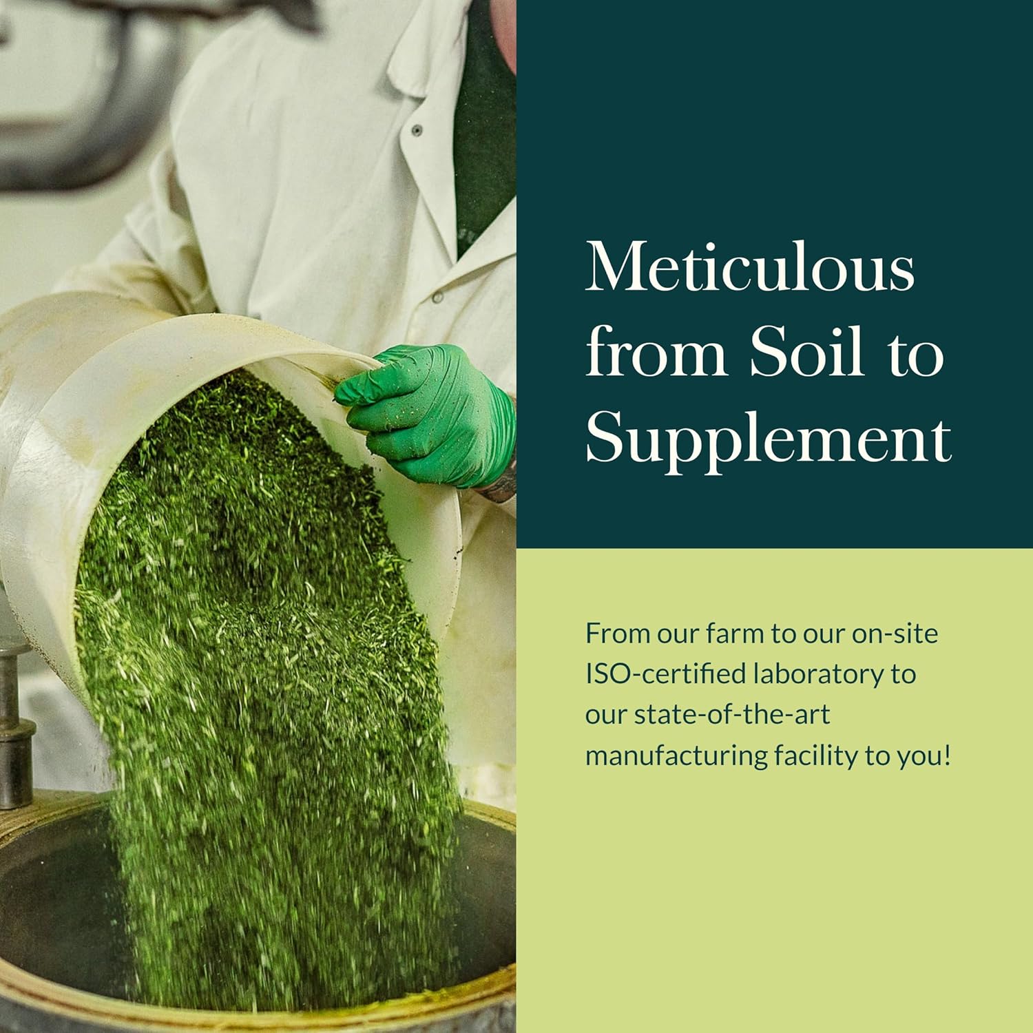 Gaia Herbs Calm A.S.A.P. - Stress Support Supplement with Skullcap, Passionflower, Chamomile, Vervain, Holy Basil & More - Supports Calm* - 60 Vegan Liquid Phyto-Caps (20 Servings) - Image 8
