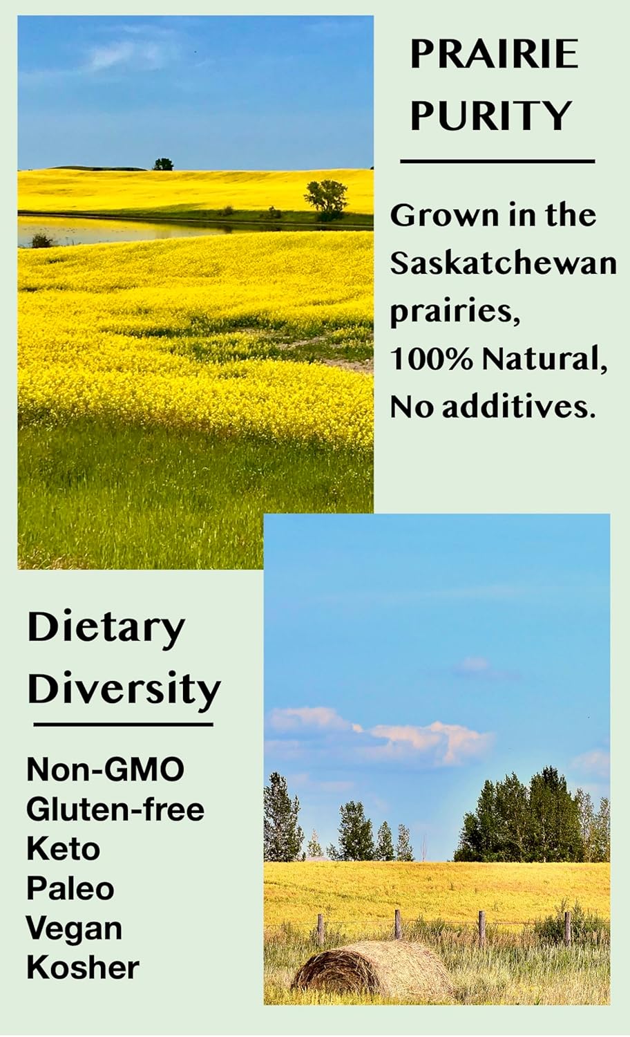 SUNYEAH Cold Pressed Hemp Seed Oil, 500 ml, Canadian, High in Omega 3 & 6, Keto Friendly - Image 2