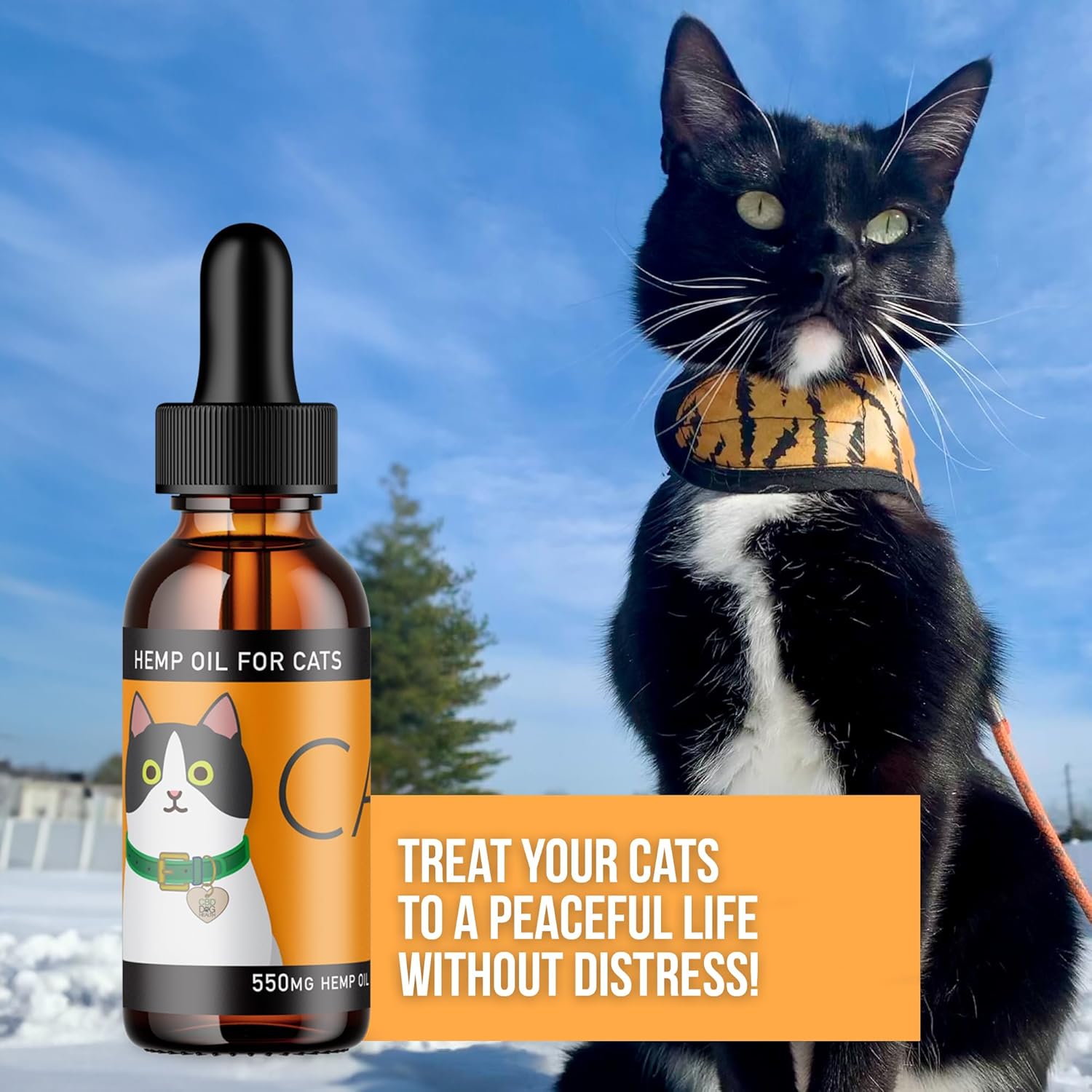 Calm Drops for Cats - Lavender Hemp Oil Blend for Balance During Fireworks, Travel, Alone Time, & New Environments - USDA Organic Cat Calming Drops - New & Improved Formula - 2 oz - Image 4