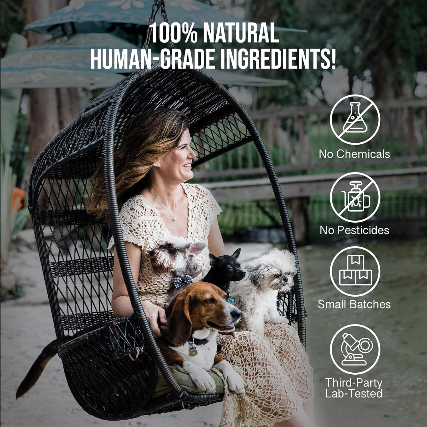 Calm - Pet Hemp Oil for Dogs - Pet Stress Relief & Relaxation - Fireworks, Thunder, Travel, & Separation Support - Natural Dog Calming Drops - Image 7