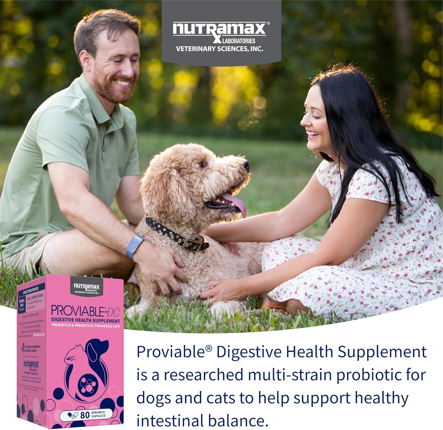 Nutramax Proviable Probiotics for Dogs and Cats, Daily Digestive Health Supplement with Multiple Strains of Bacteria, Cat and Dog Probiotics Plus Prebiotics, 80 Capsules - Image 3