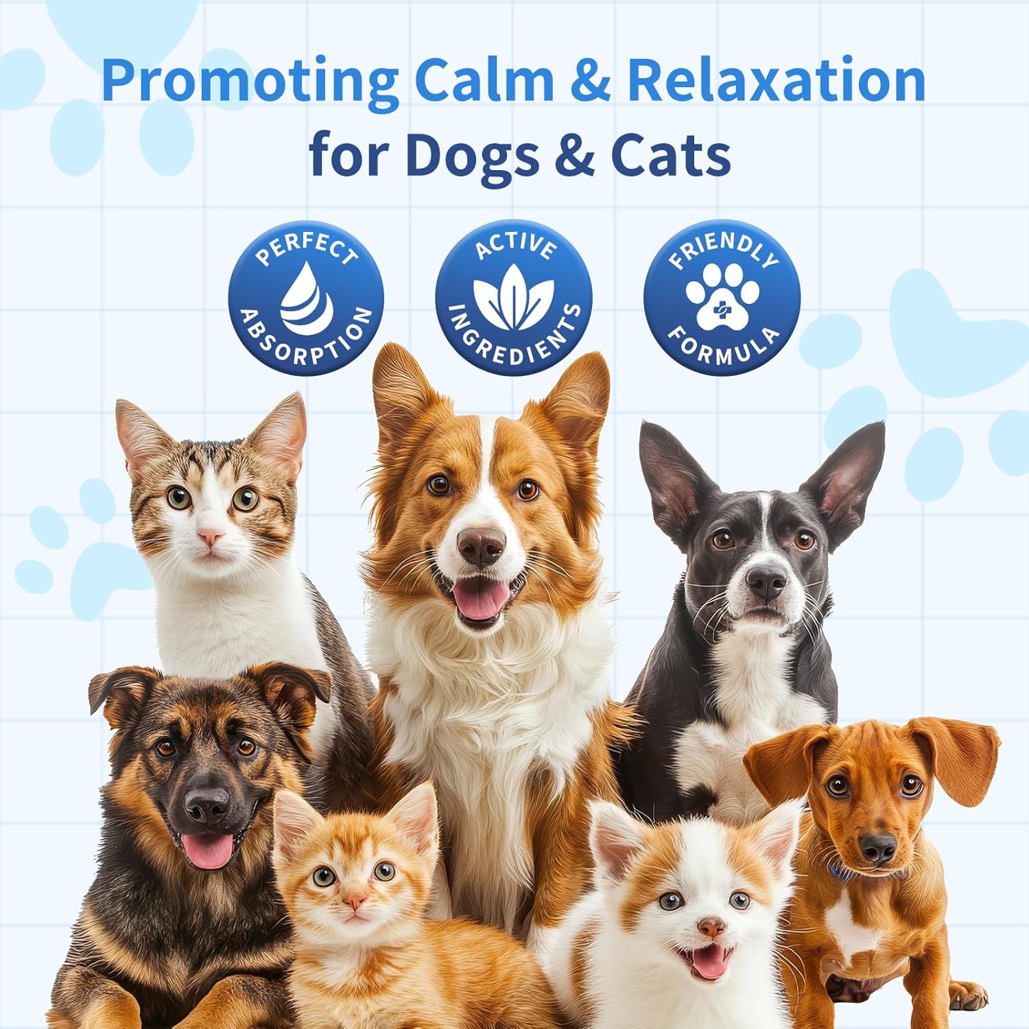 Calming Drops for Dogs & Cats - Image 5
