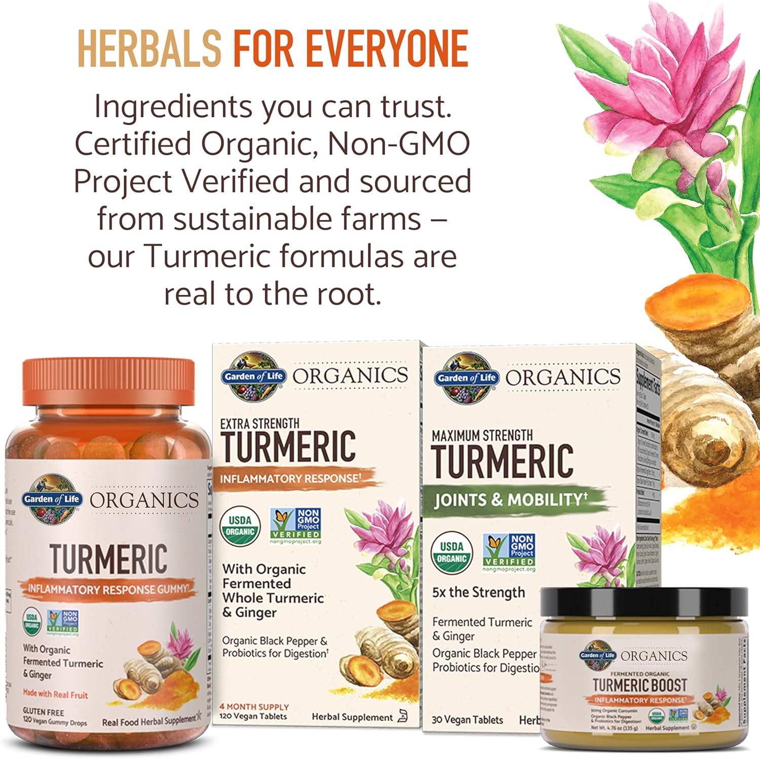 Garden of Life Organics Extra Strength Turmeric Inflammatory Response 60 Tablets-100mg Curcumin (95% Curcuminoids) Black Pepper, Probiotics, Organic Non-GMO Vegan Gluten Free Herbal Supplement - Image 8