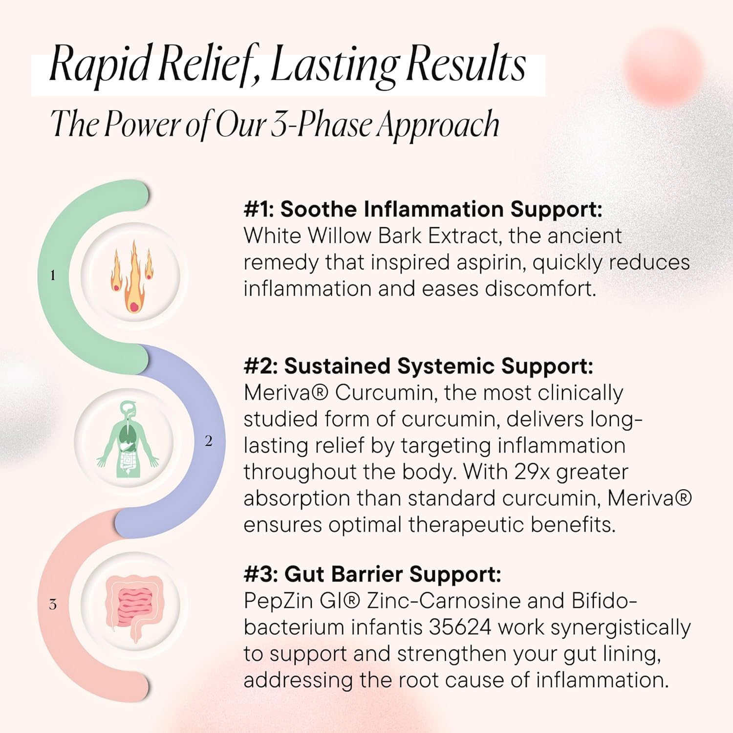 Goodness Lover Inflammation Pro, with 10 Billion CFU for Digestive Support, Curcumin, White Willow bark Extract, Zero fillers, Vegan, 30 Servings - Image 5