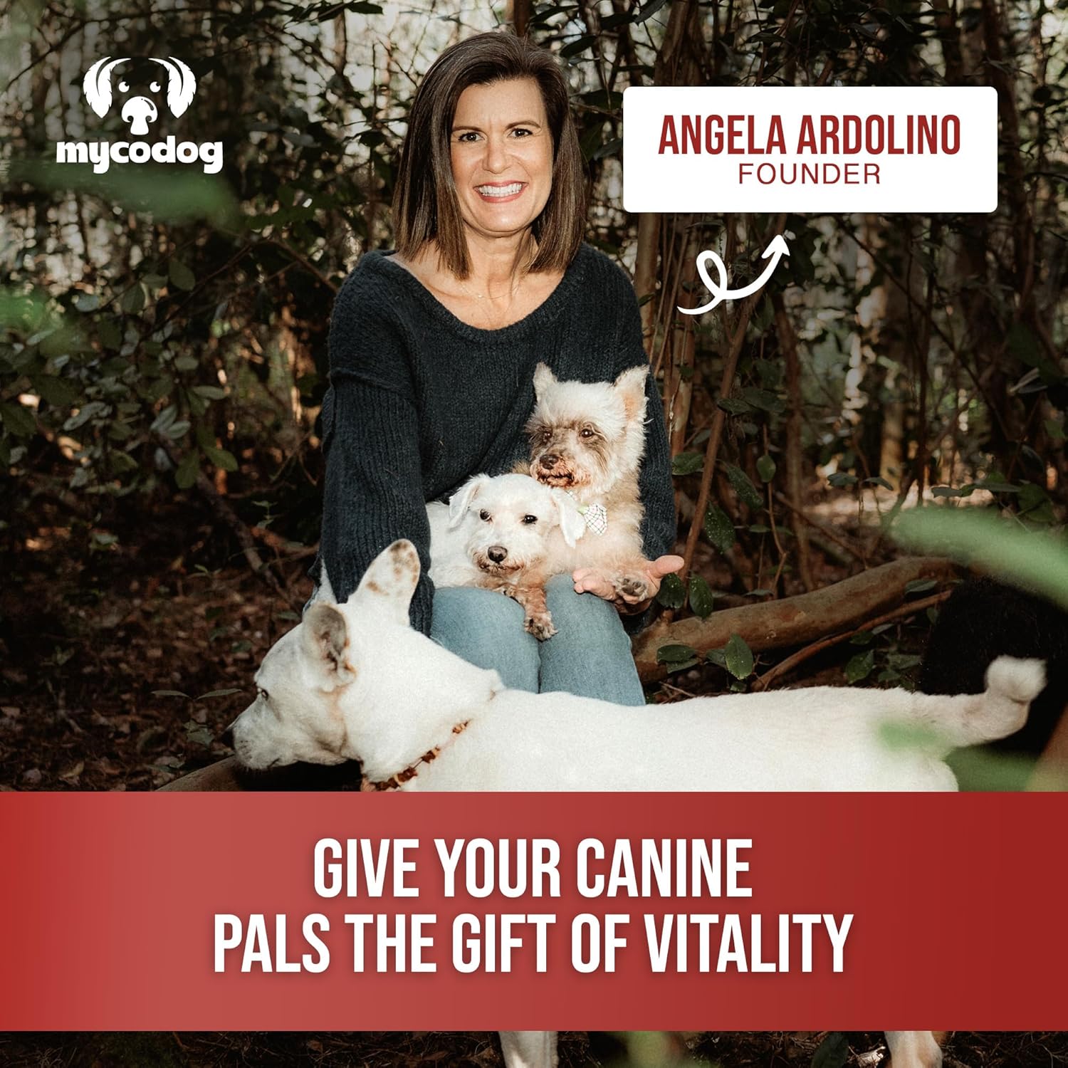 MycoDog Vitality - Mushroom & Adaptogen Supplement for Dogs - Immune Health, Senior Dog, & Daily Wellness Support - Turkey Tail Mushroom for Dogs, Reishi, Chaga - Image 5