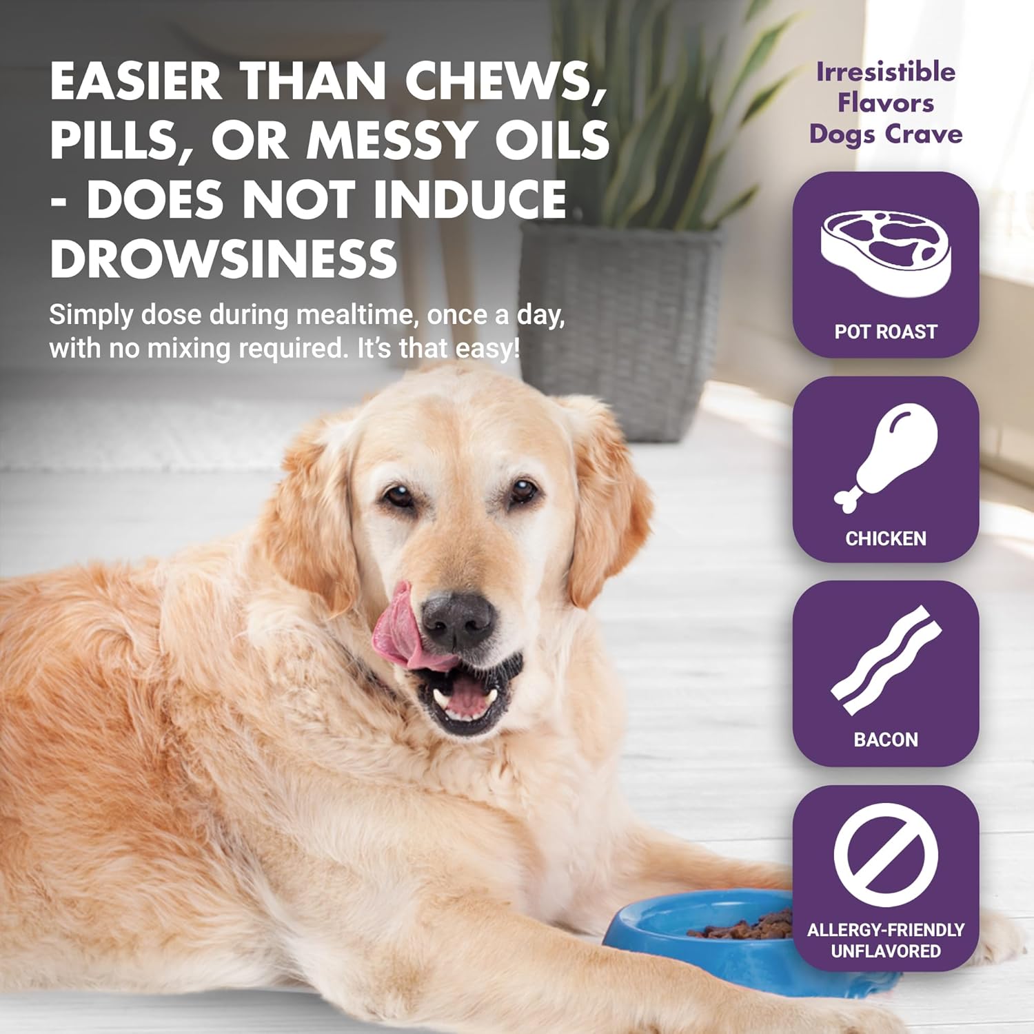 LIQUID-VET Premium Calming Dog Supplements - All Dog Essentials with Chamomile for Skin & Coat Support - Ideal for Large Breeds, Puppies, and Overall Wellness - Image 5